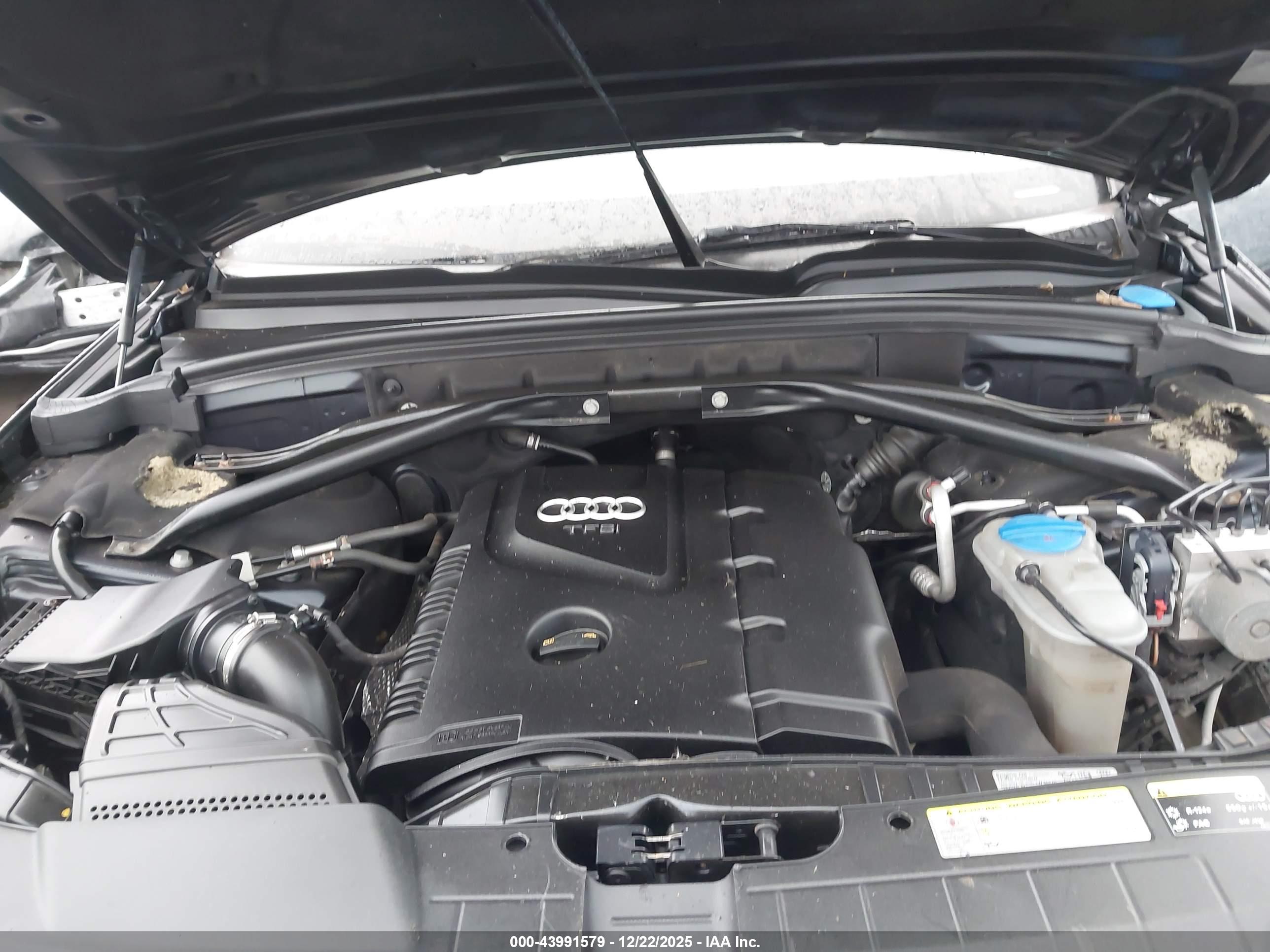 AUDI Q5 image 10