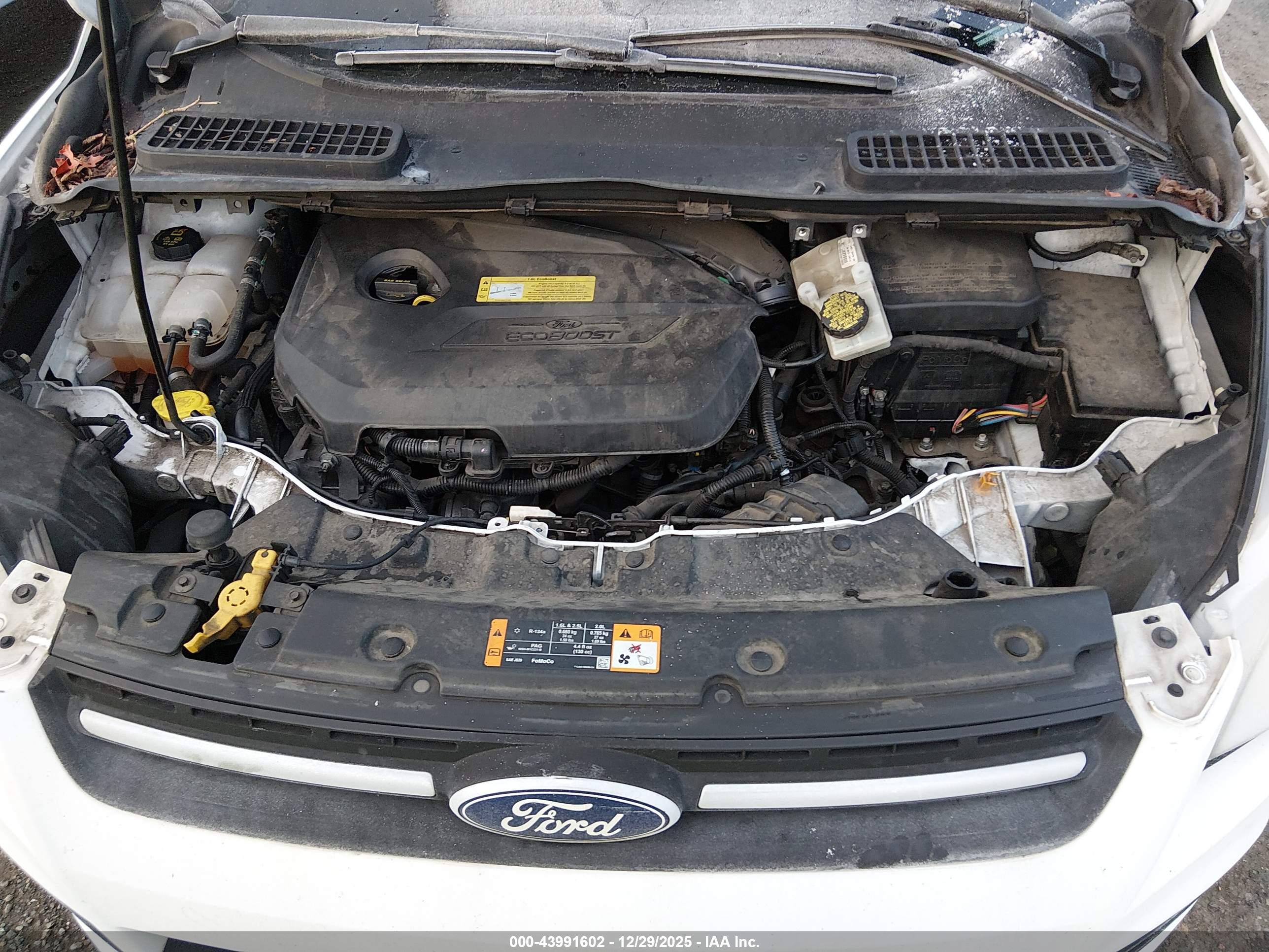 FORD ESCAPE image 10