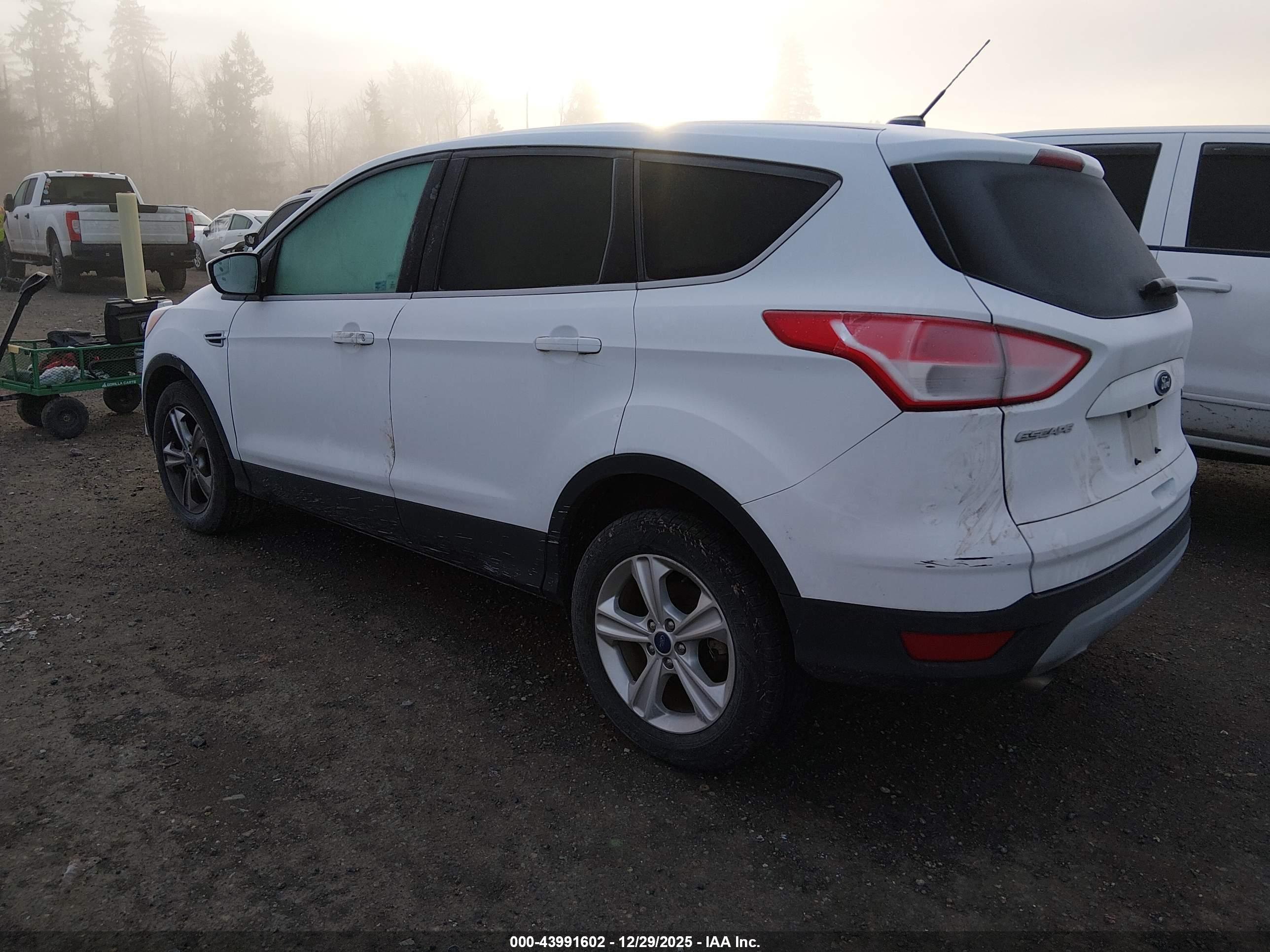 FORD ESCAPE image 3