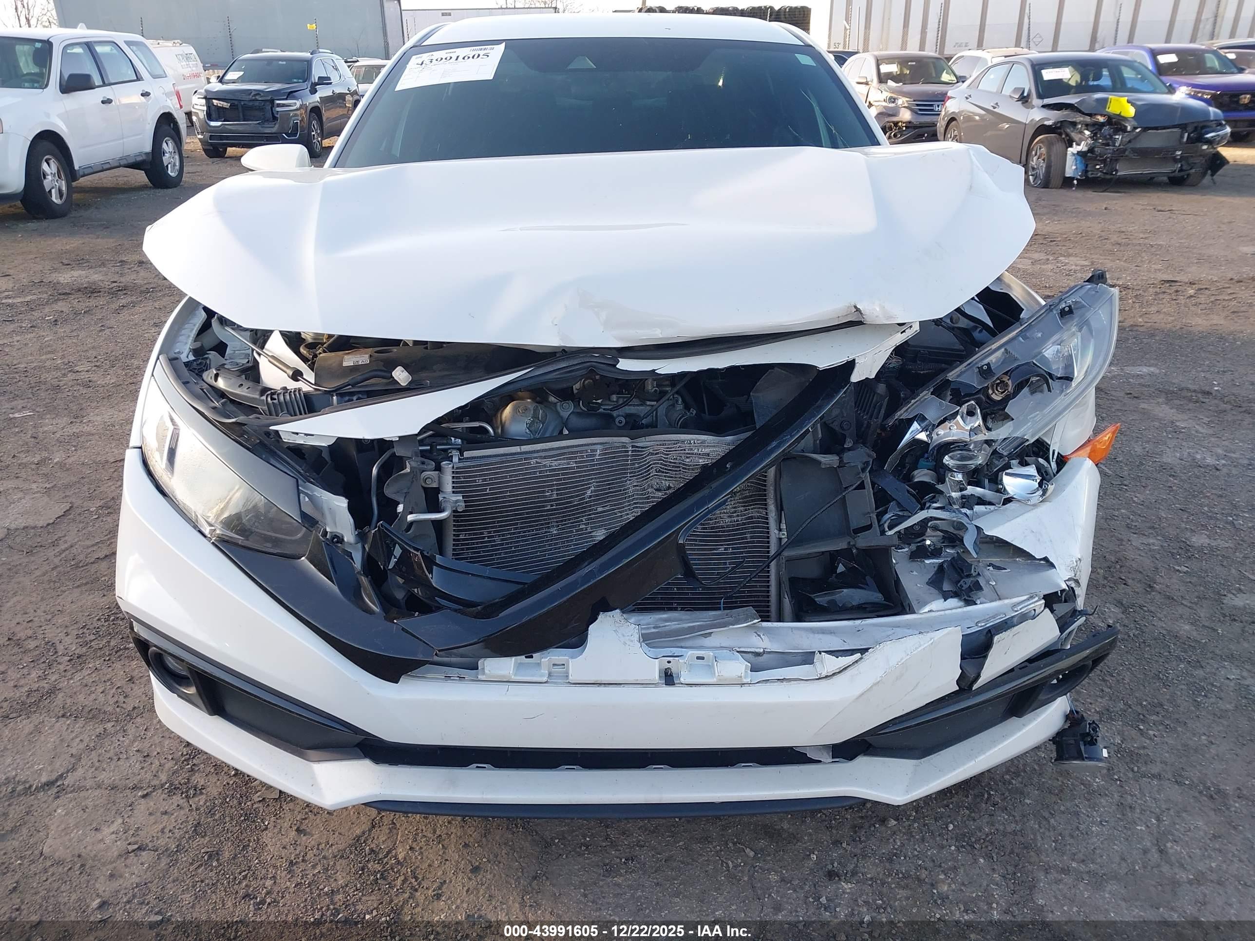 HONDA CIVIC image 6