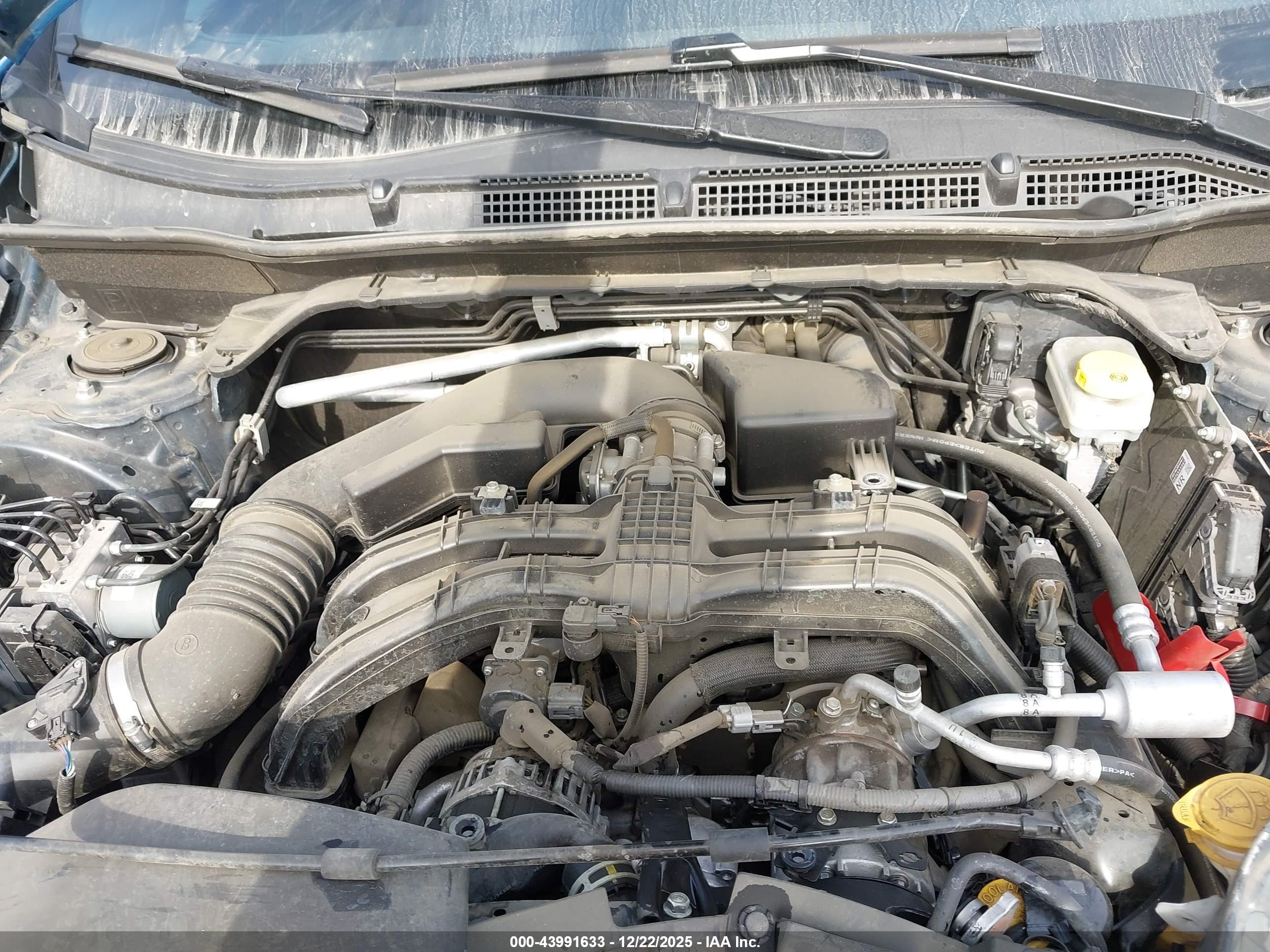 SUBARU FORESTER image 10