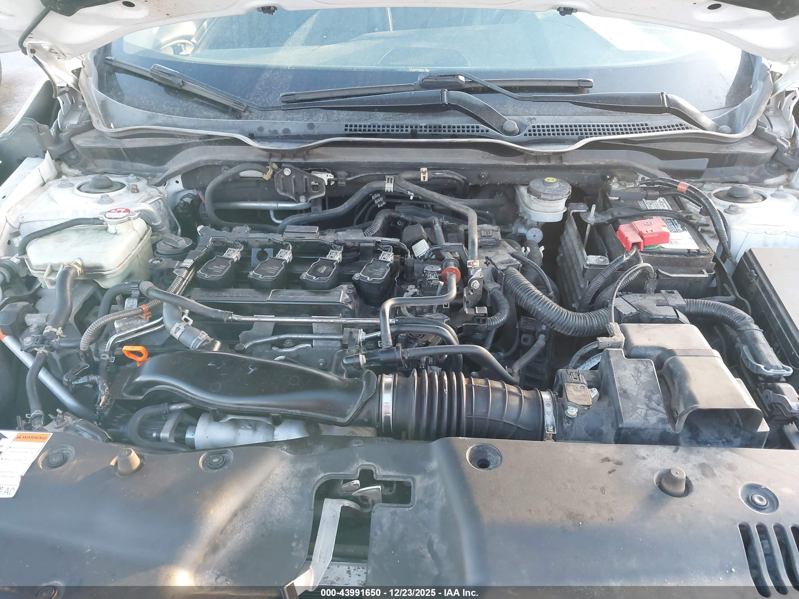 HONDA CIVIC image 10