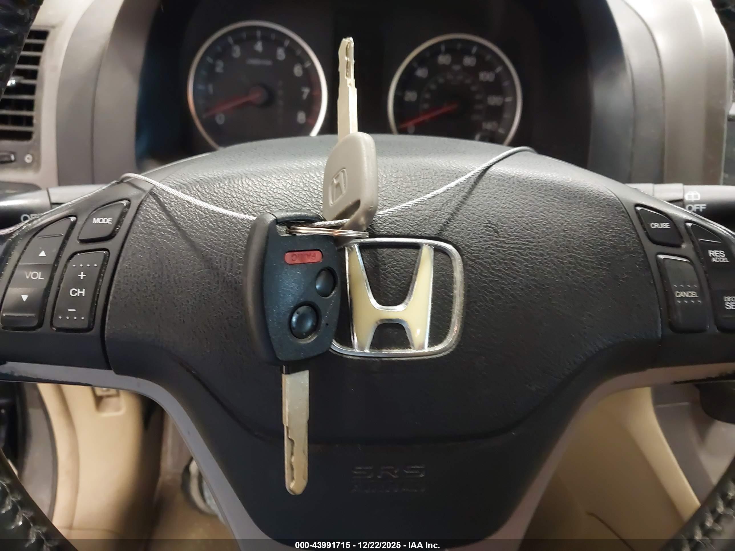 HONDA CR-V image 11