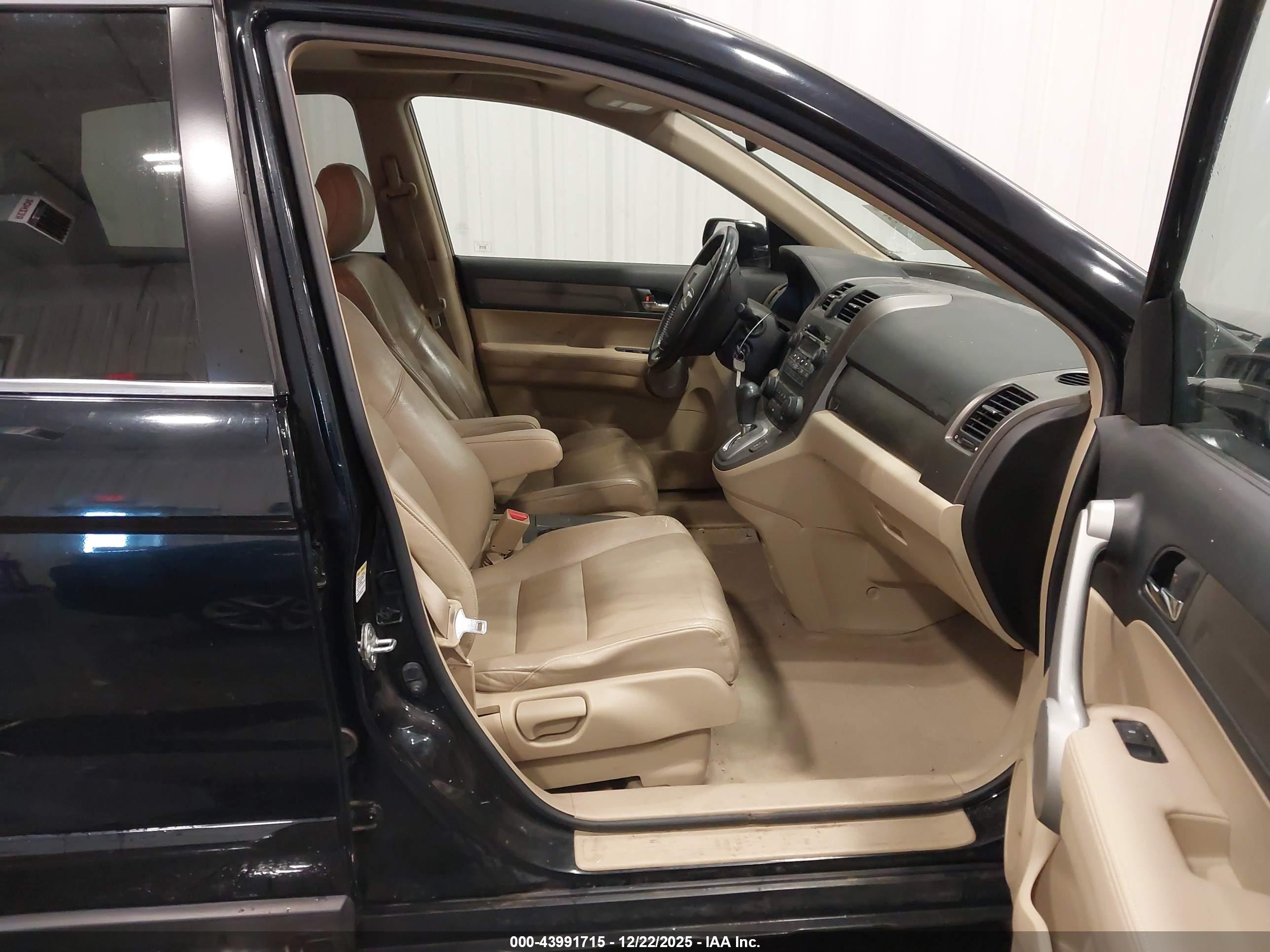 HONDA CR-V image 5