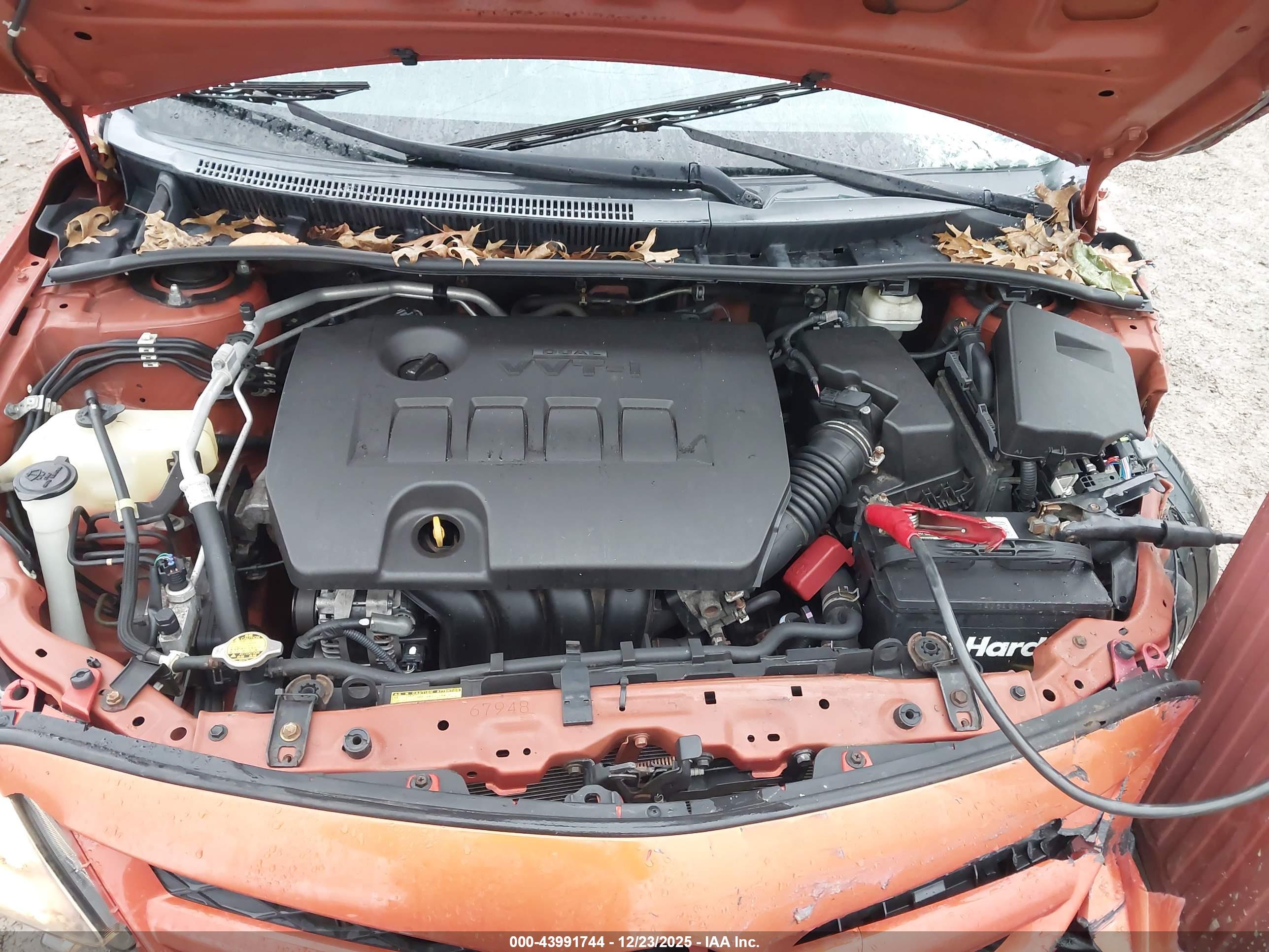 TOYOTA COROLLA image 10