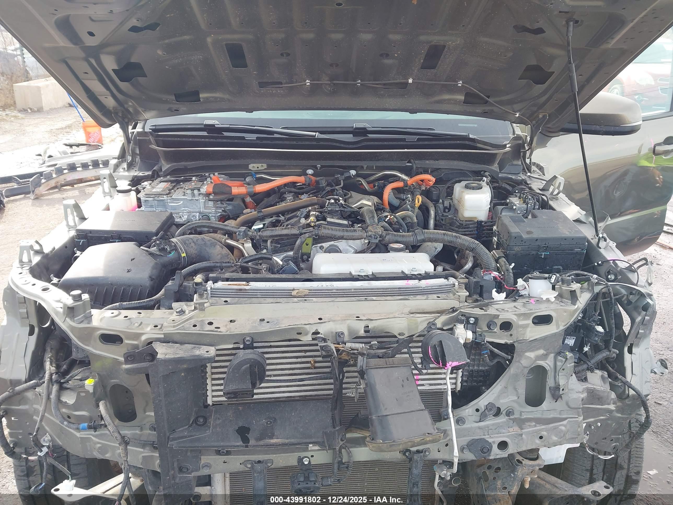 TOYOTA TACOMA image 10