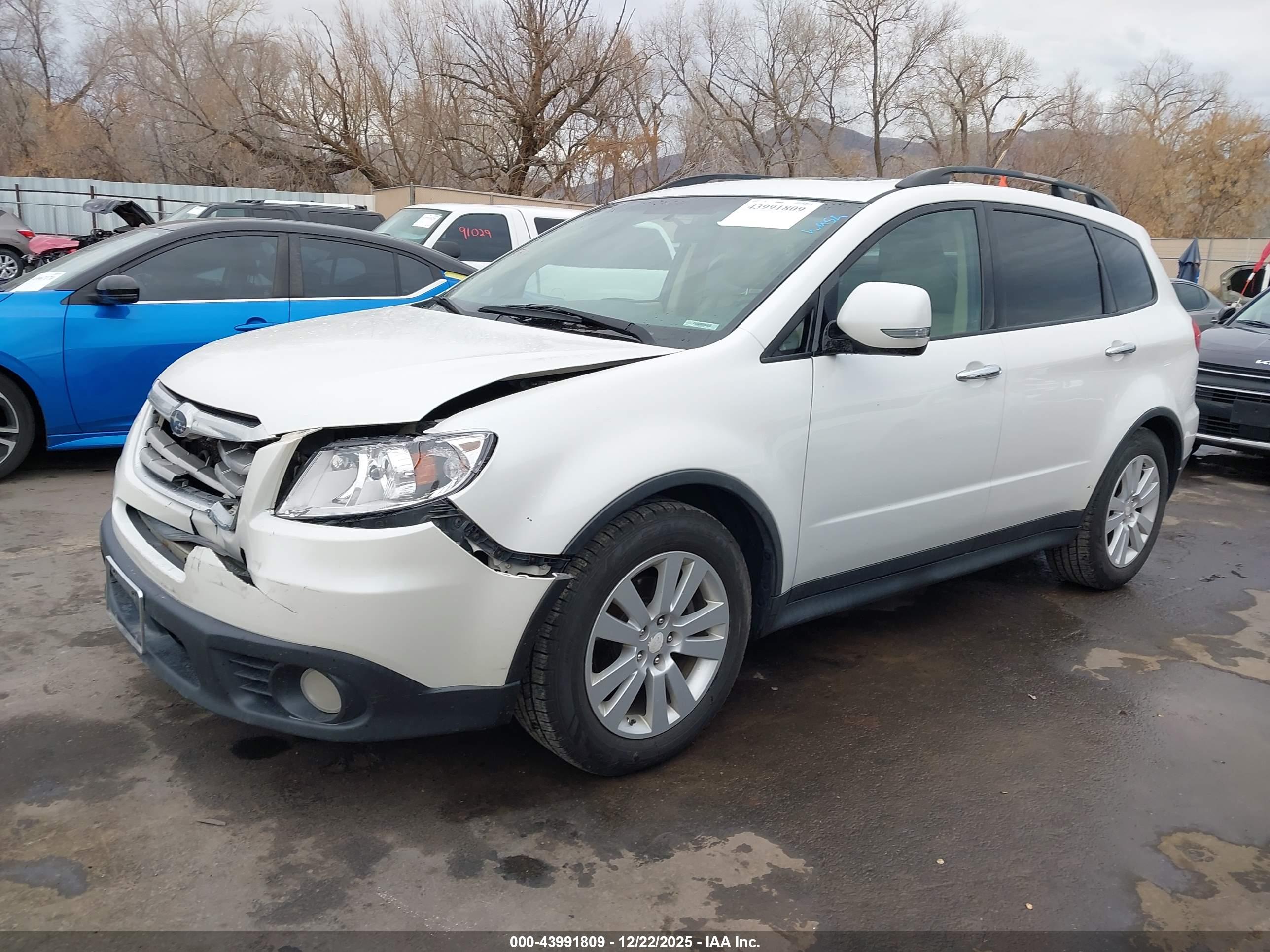 SUBARU TRIBECA image 2
