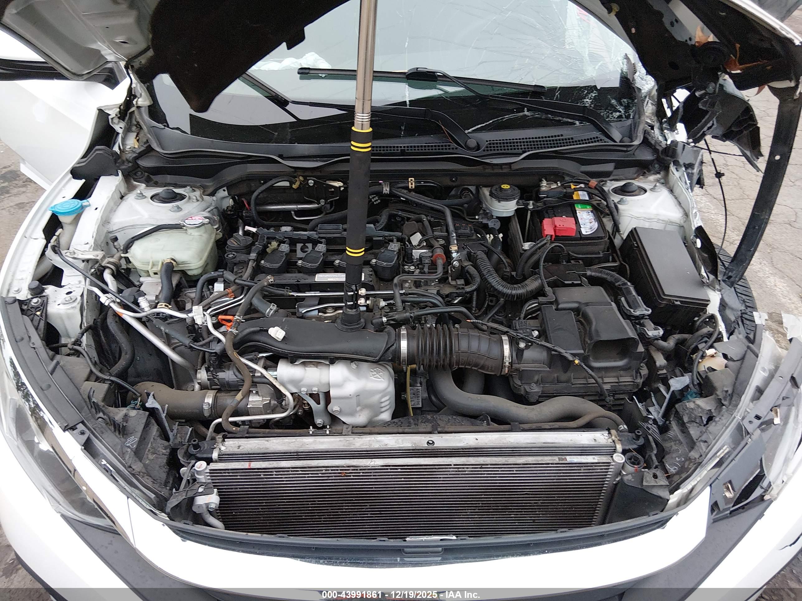 HONDA CIVIC image 10