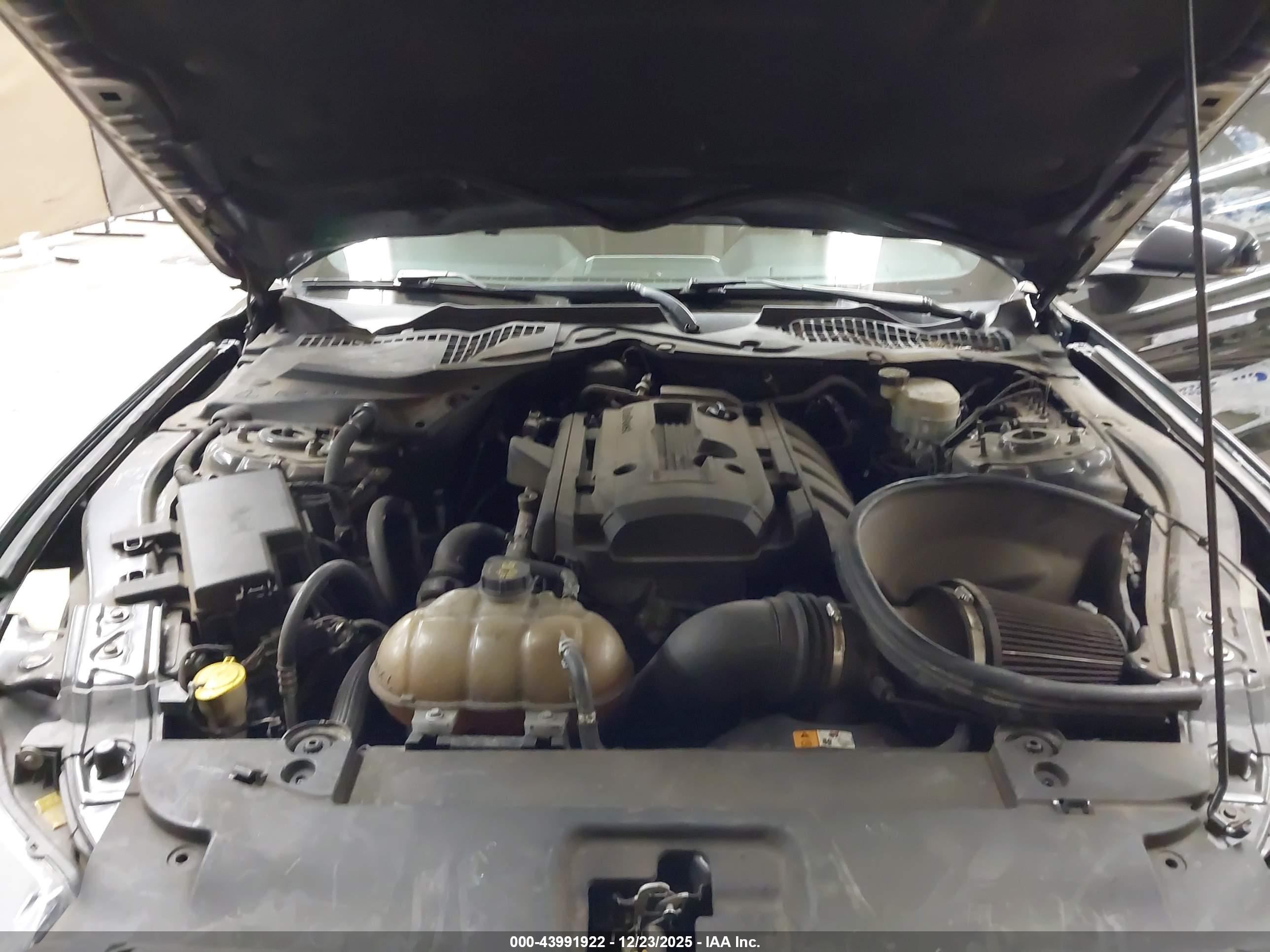 FORD MUSTANG image 10
