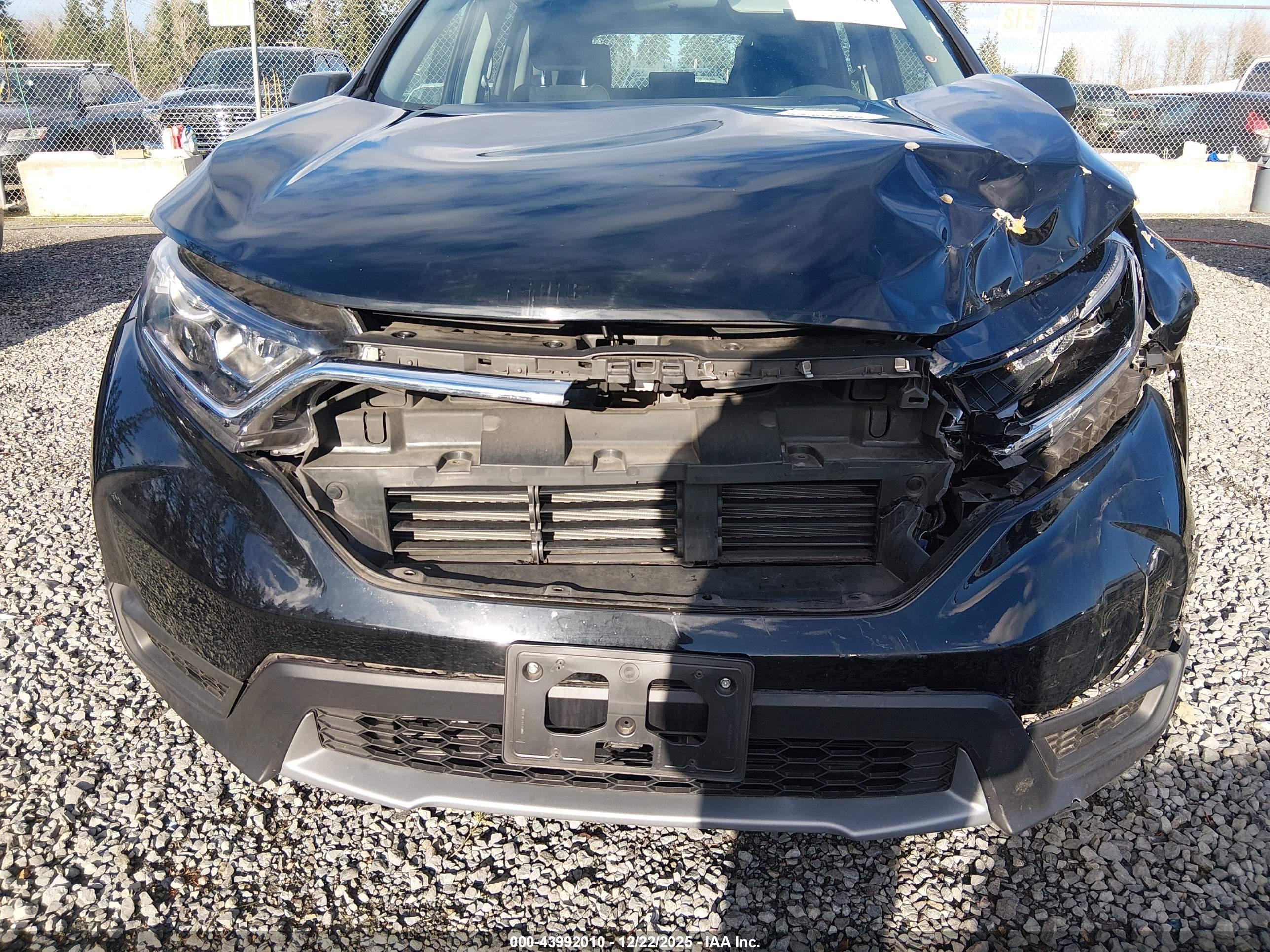 HONDA CR-V image 6