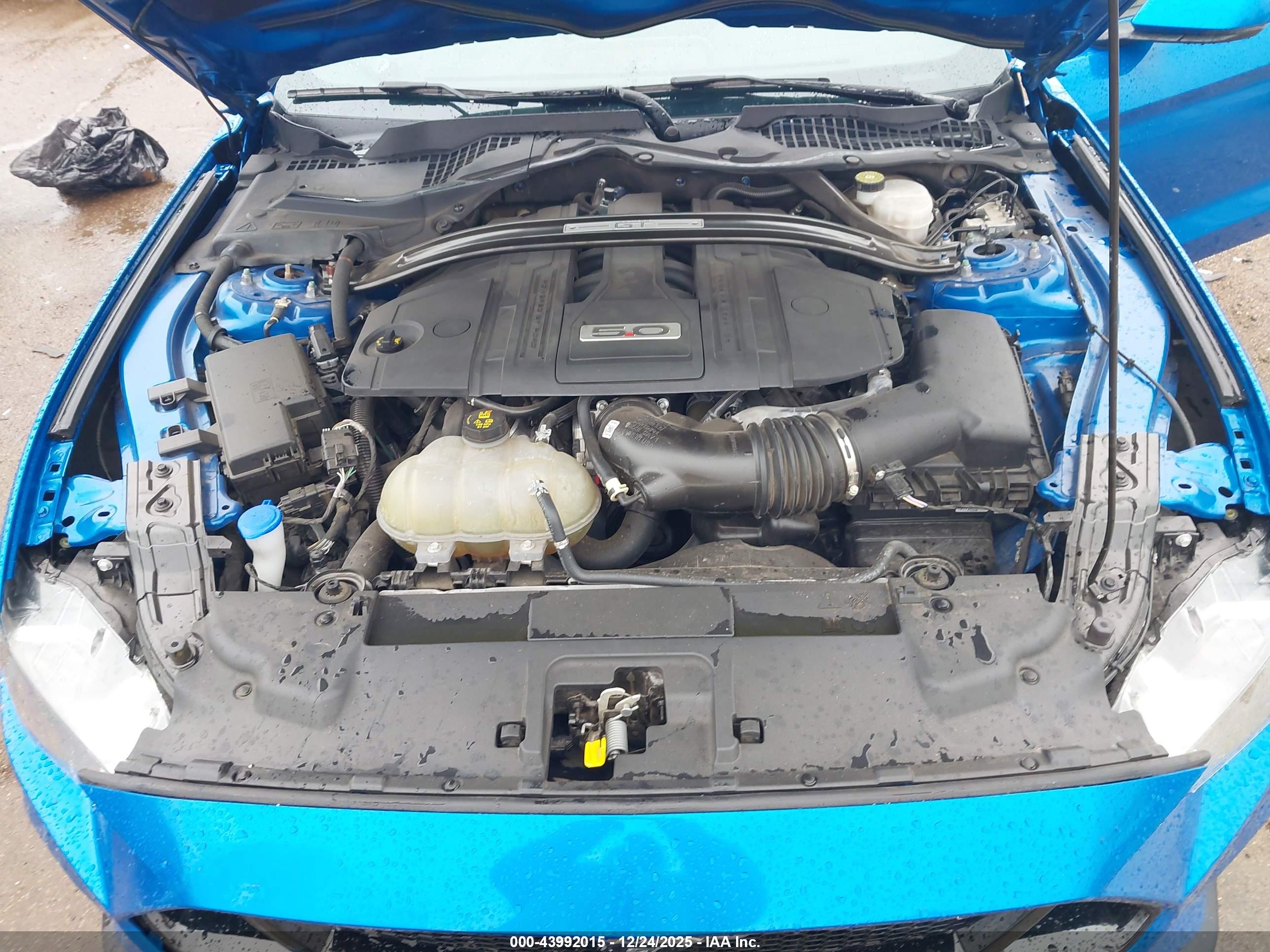 FORD MUSTANG image 10