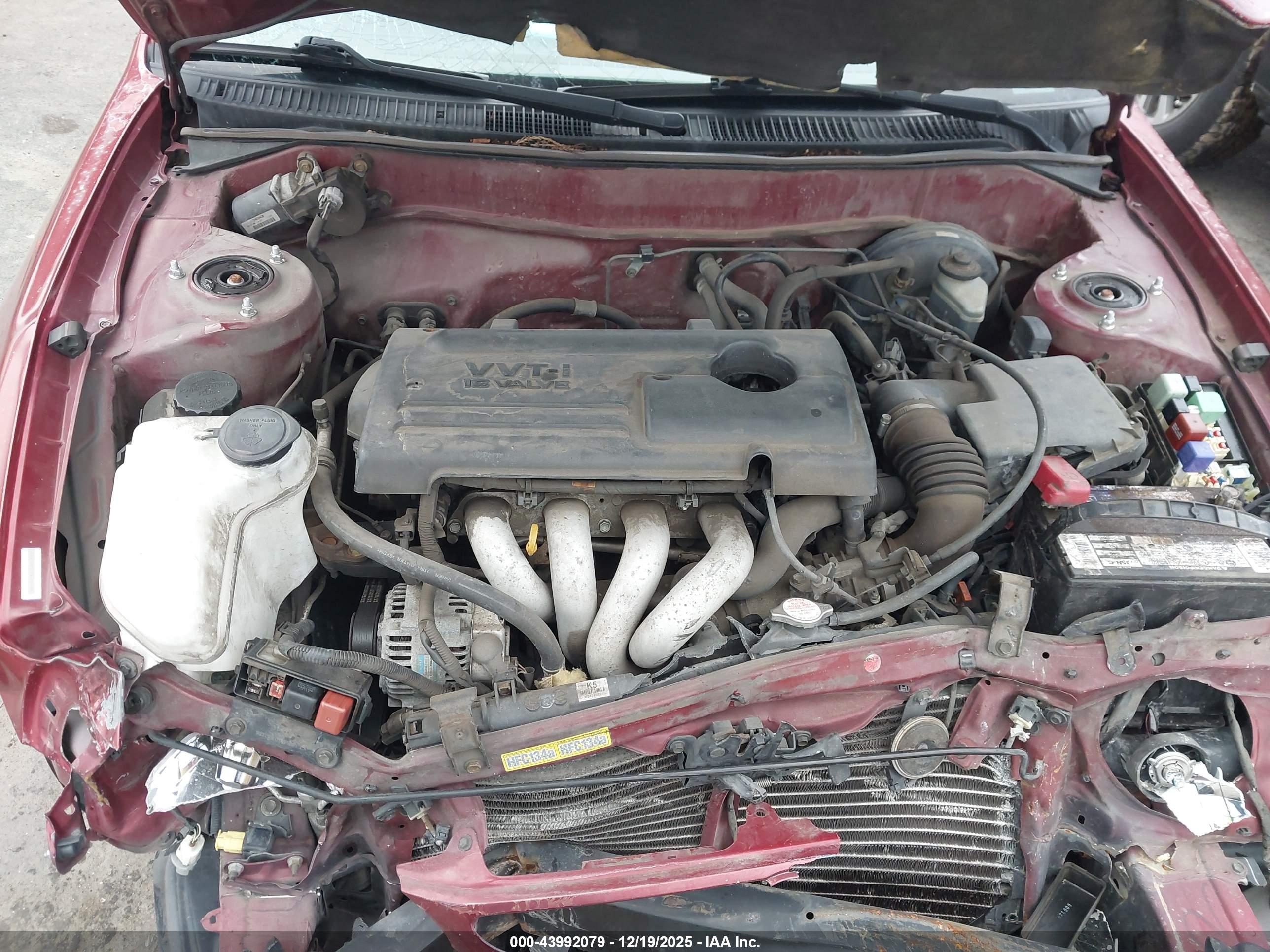 TOYOTA COROLLA image 10