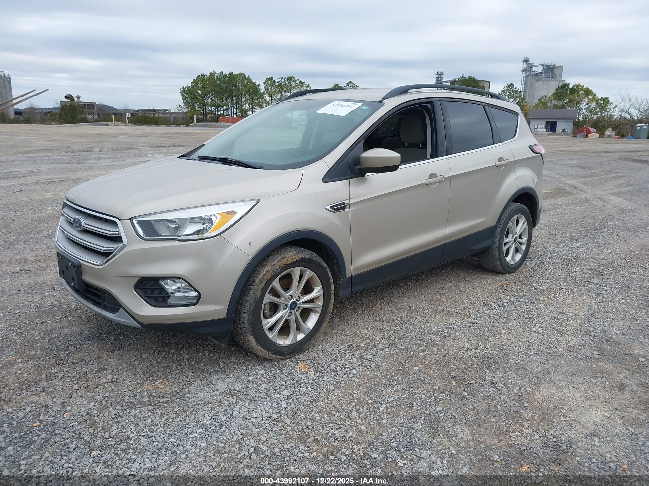 FORD ESCAPE image 2