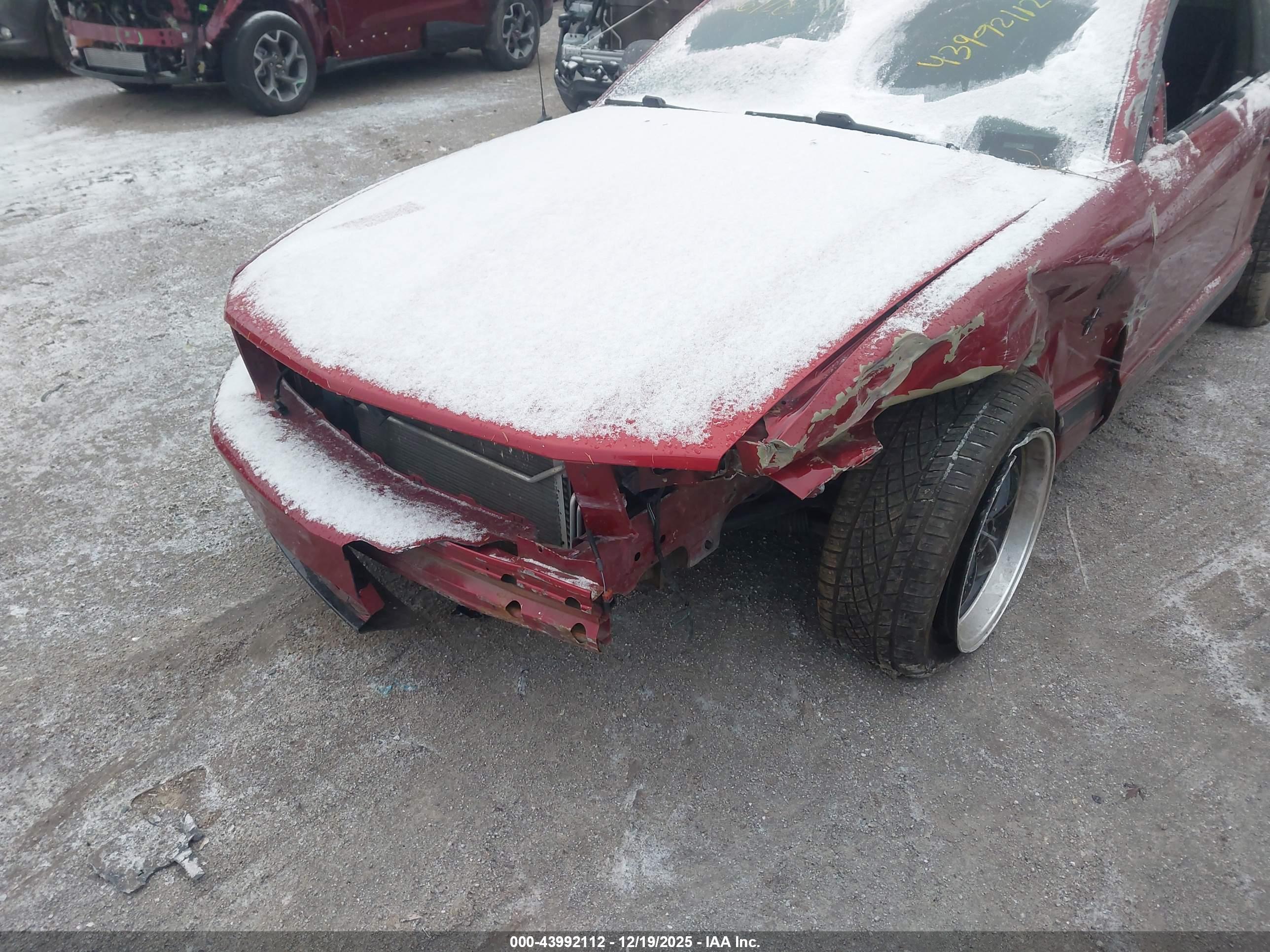 FORD MUSTANG image 6