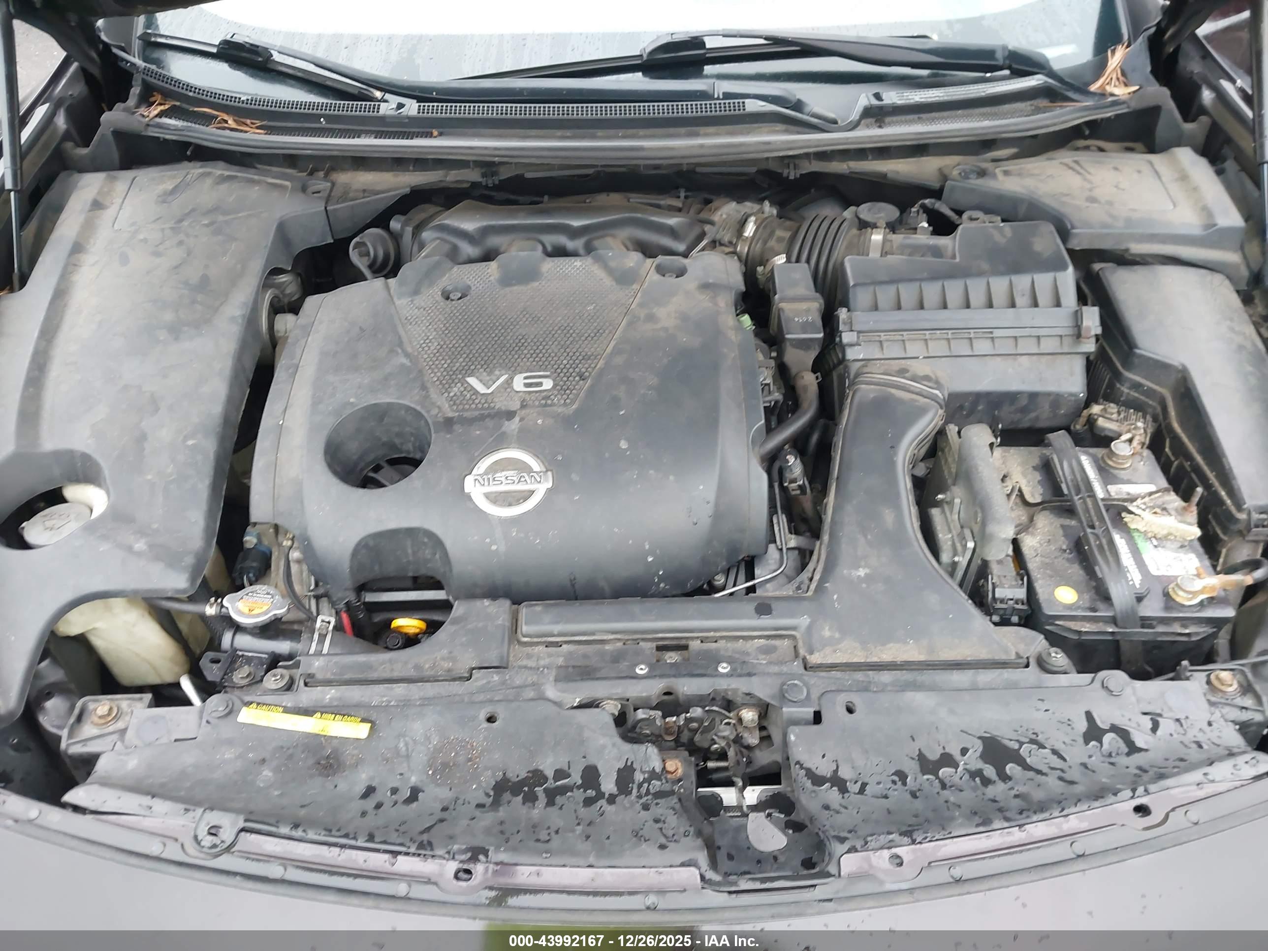 NISSAN MAXIMA image 10