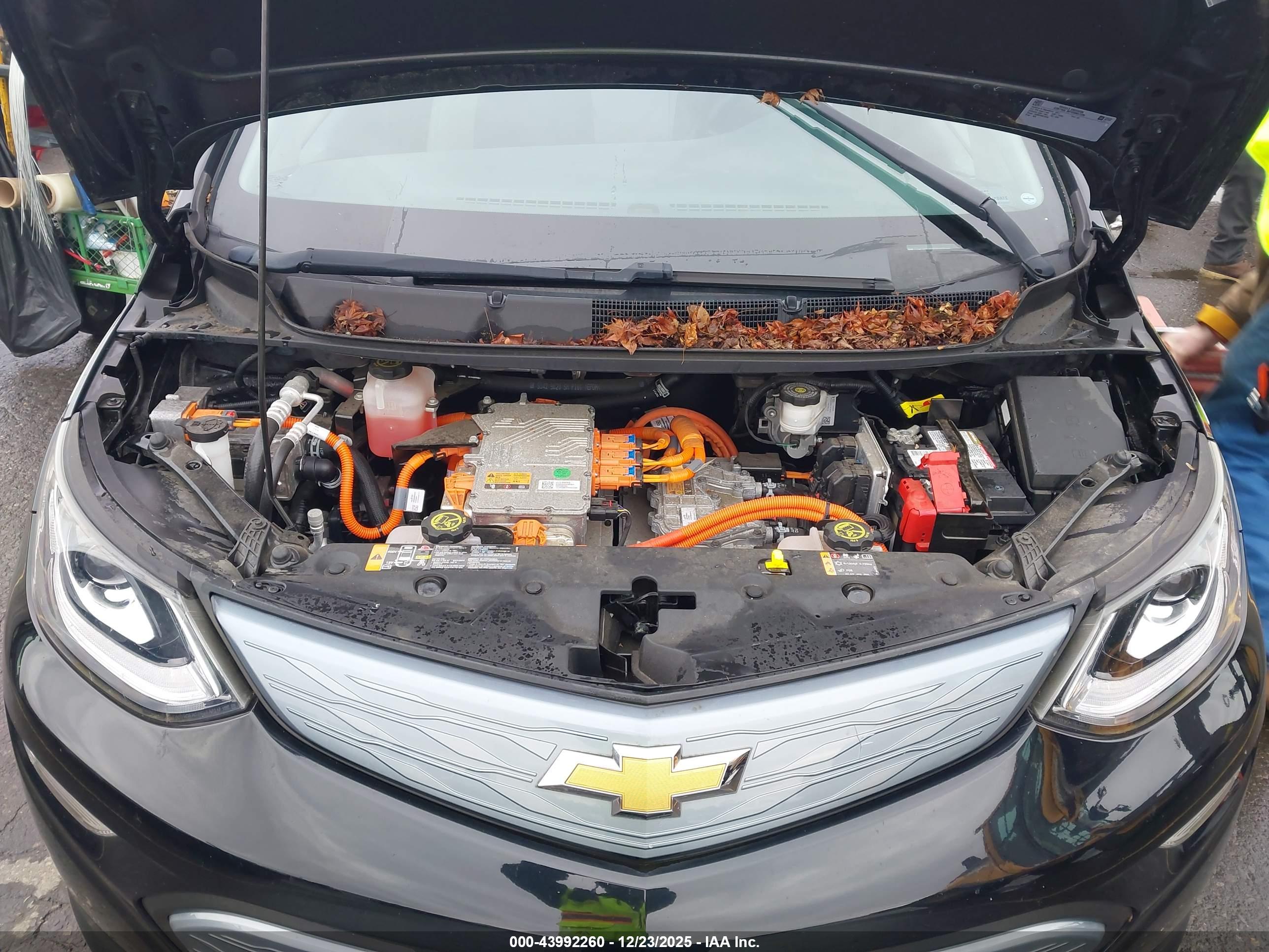 CHEVROLET BOLT image 10