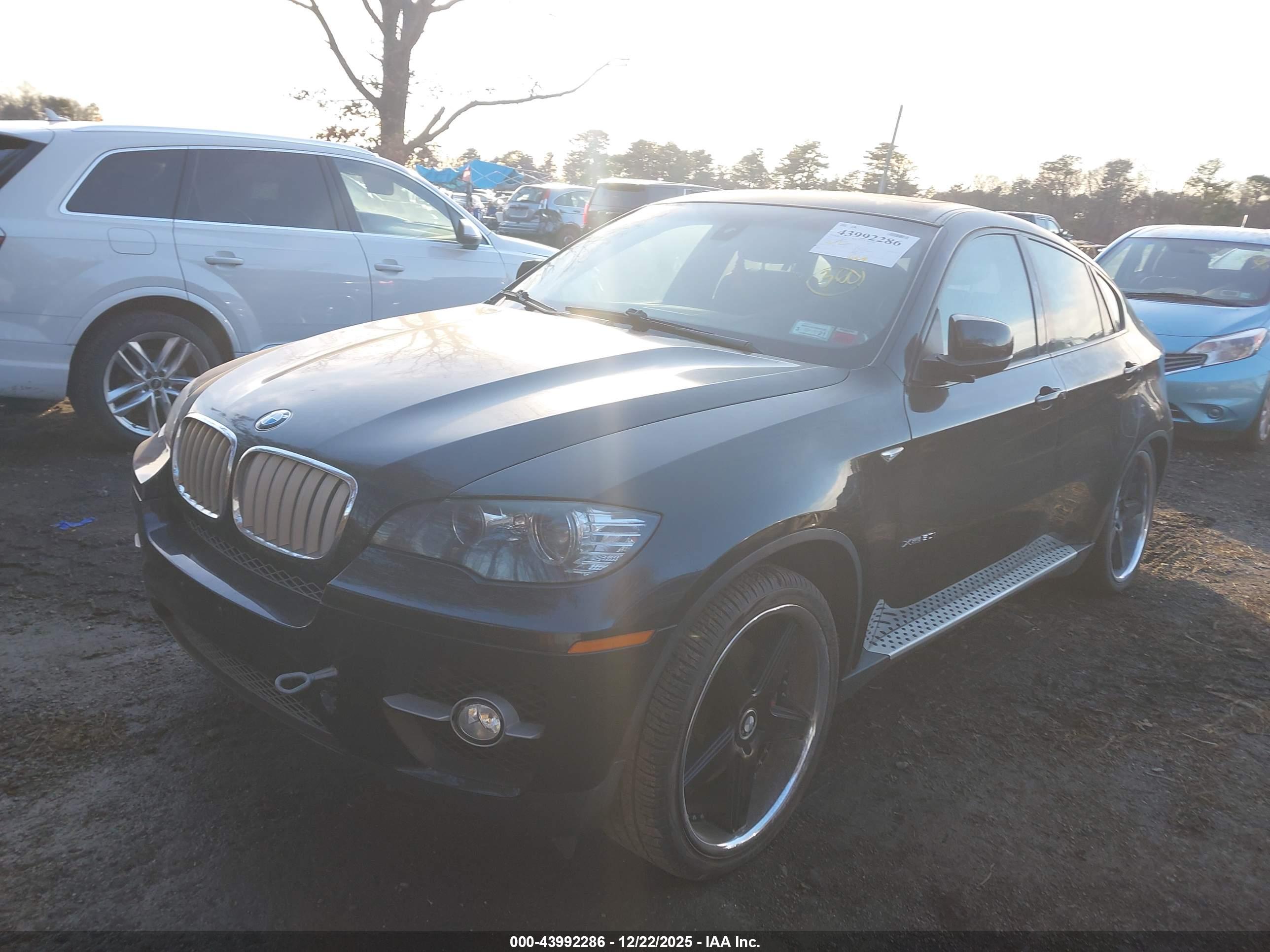 BMW X6 image 2