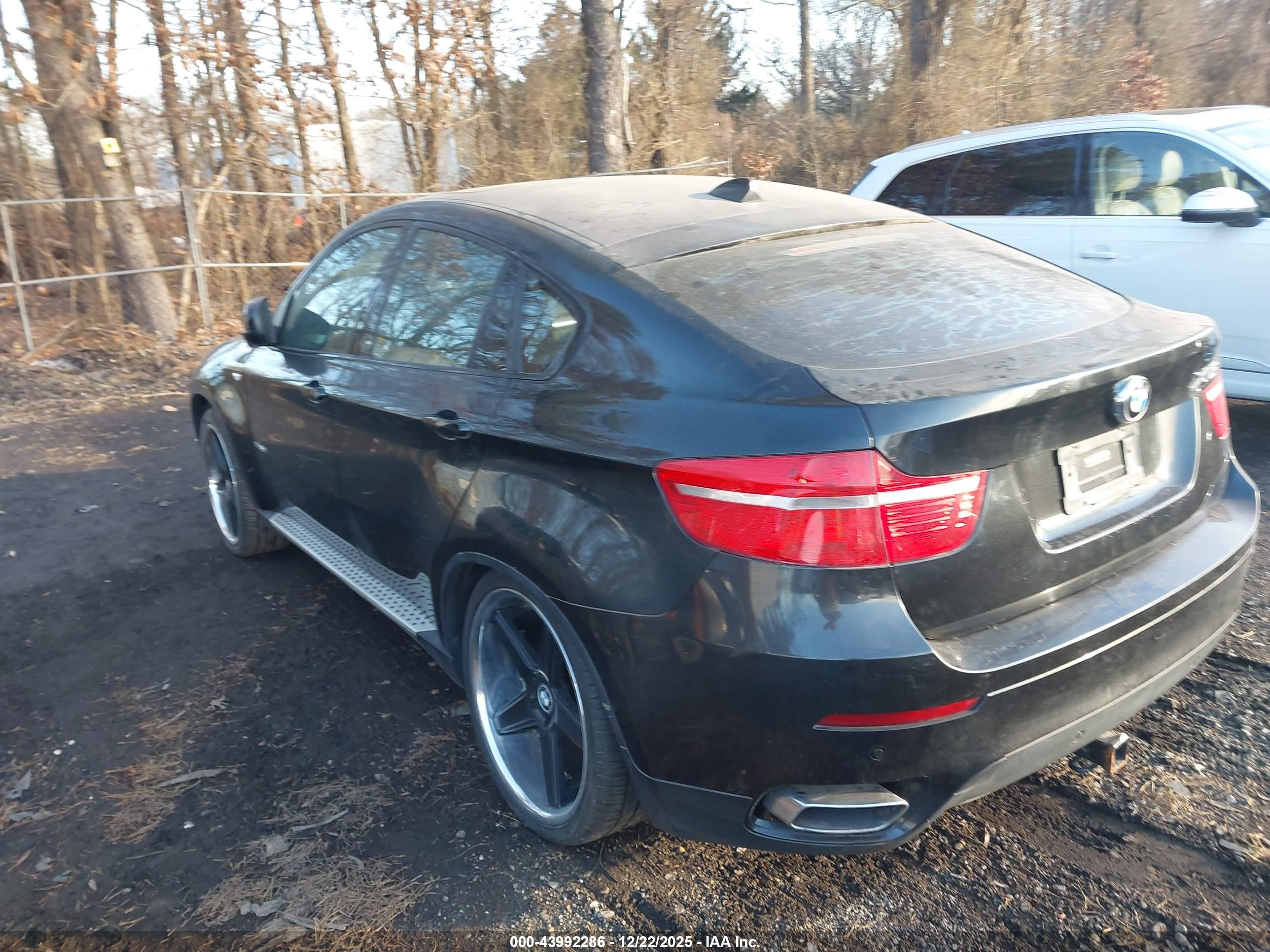 BMW X6 image 3
