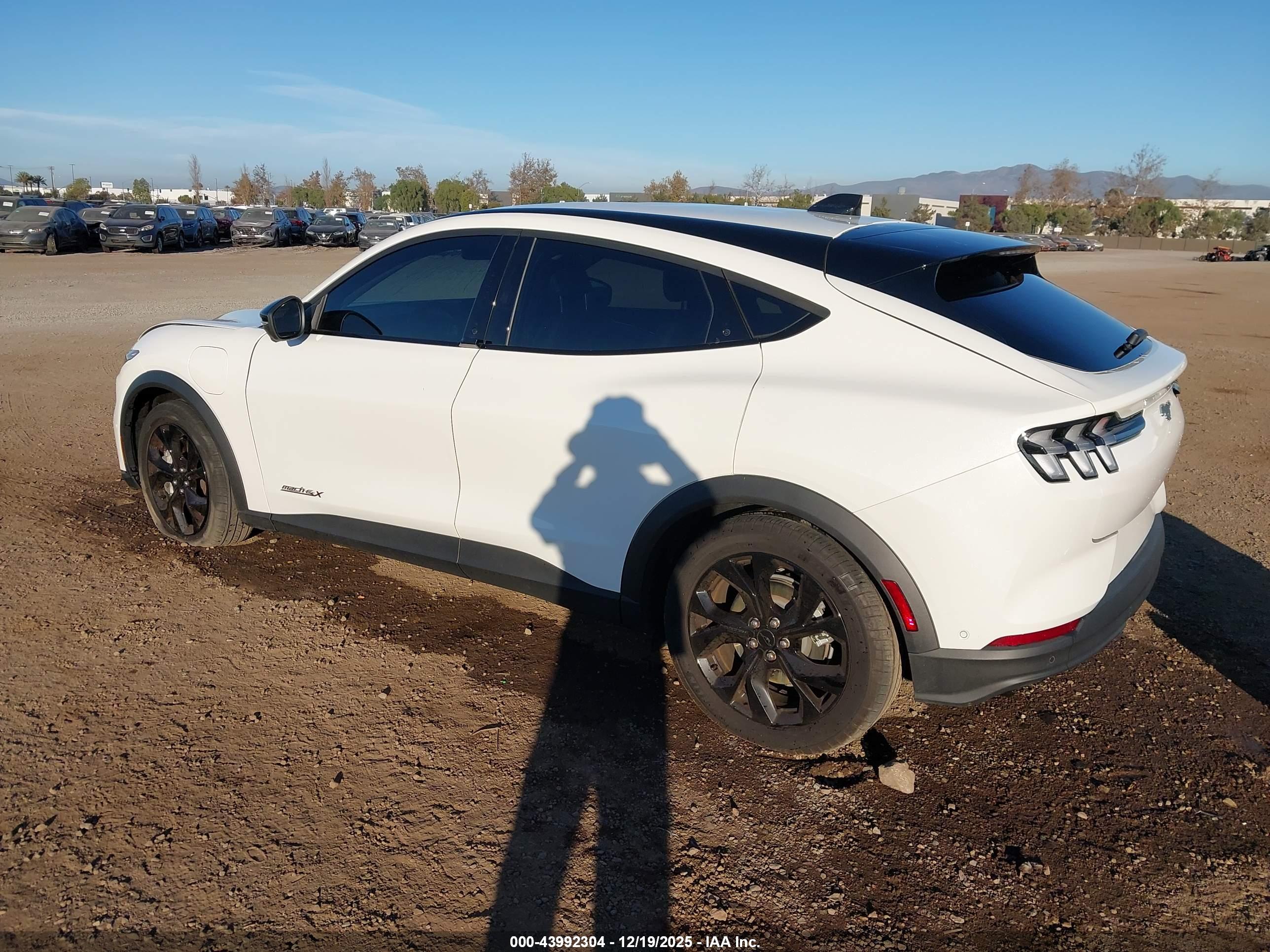 FORD MUSTANG image 3