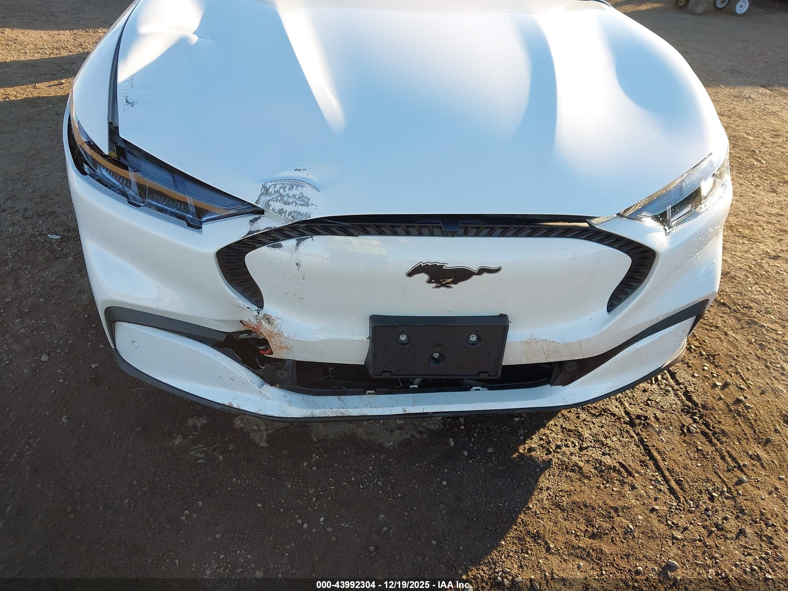 FORD MUSTANG image 6