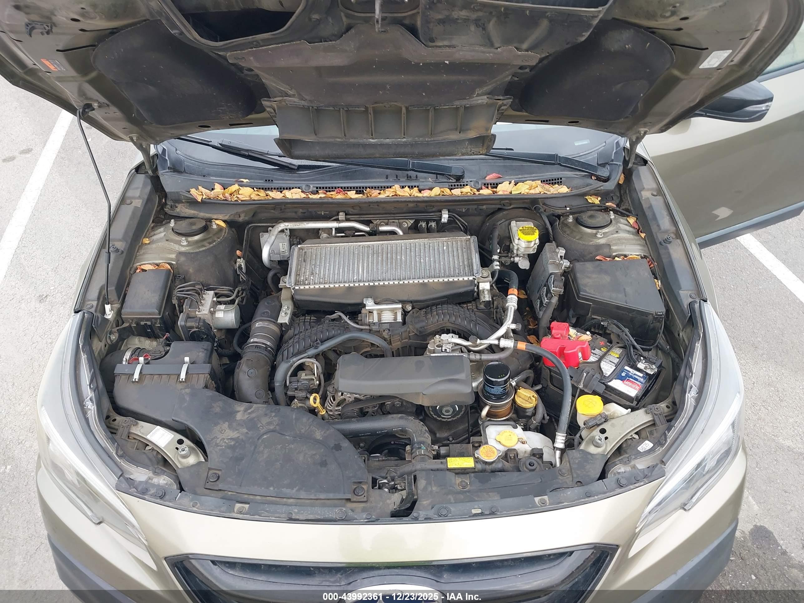 SUBARU OUTBACK image 10