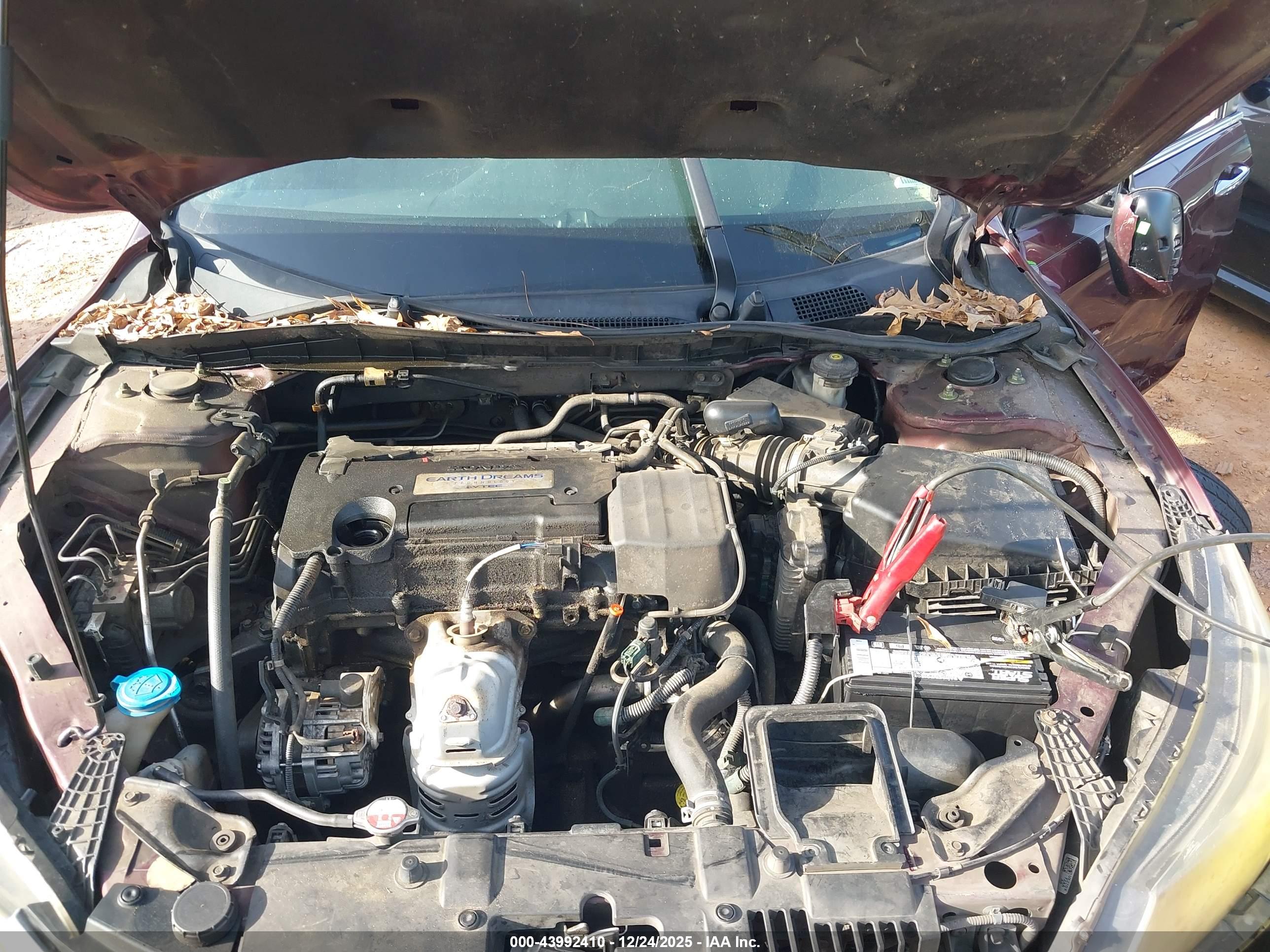 HONDA ACCORD image 10