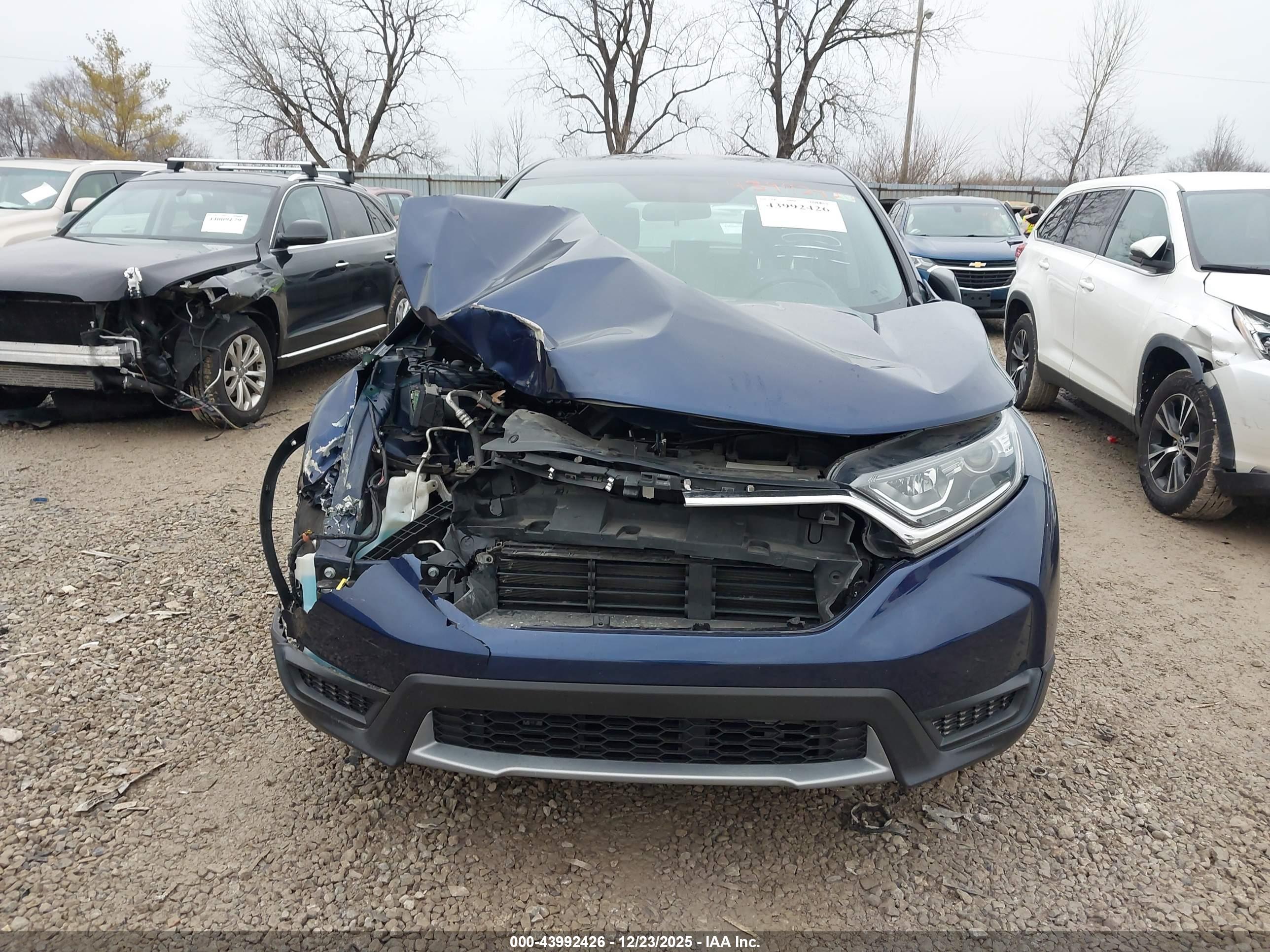 HONDA CR-V image 6