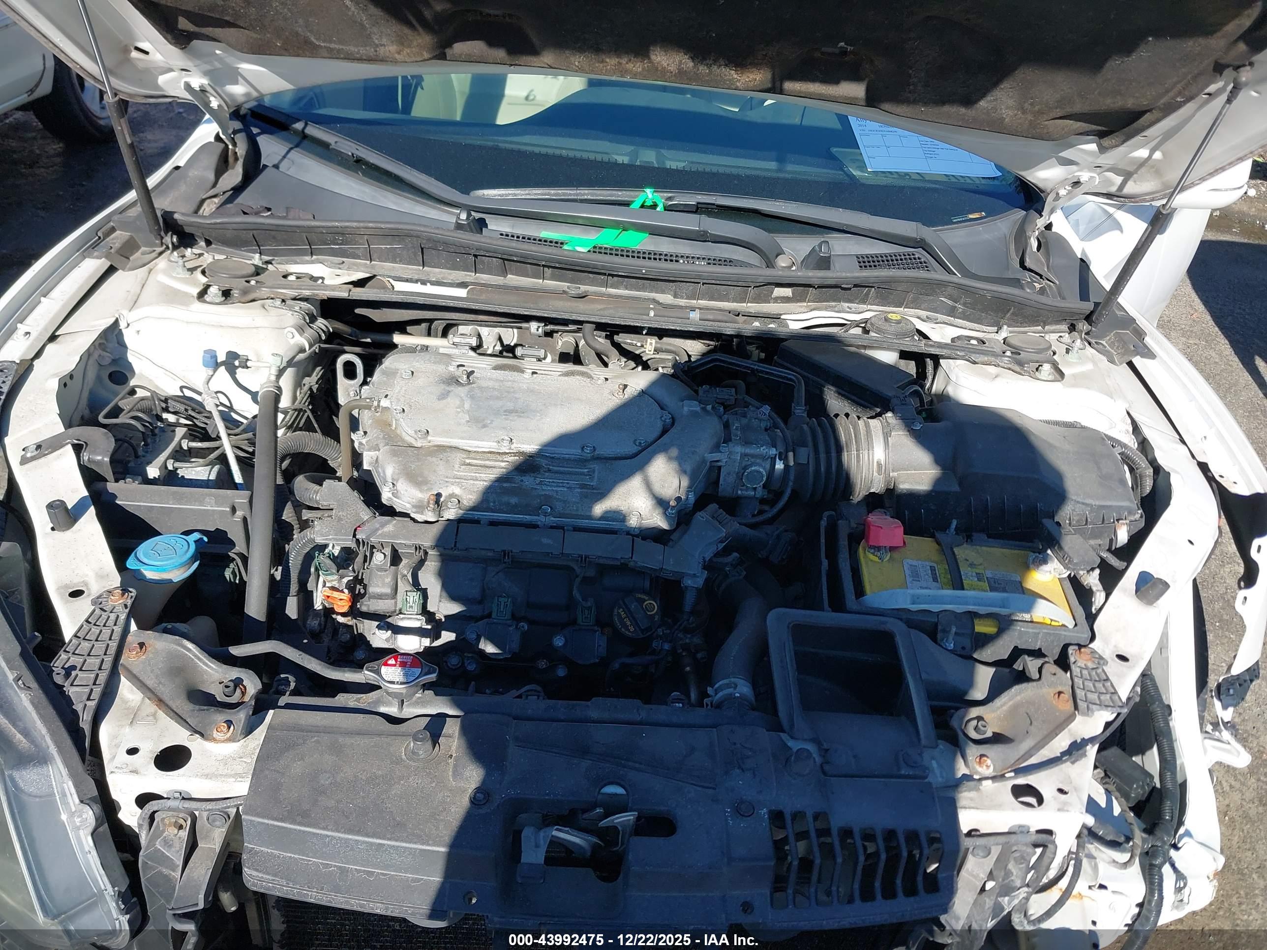 HONDA ACCORD image 10