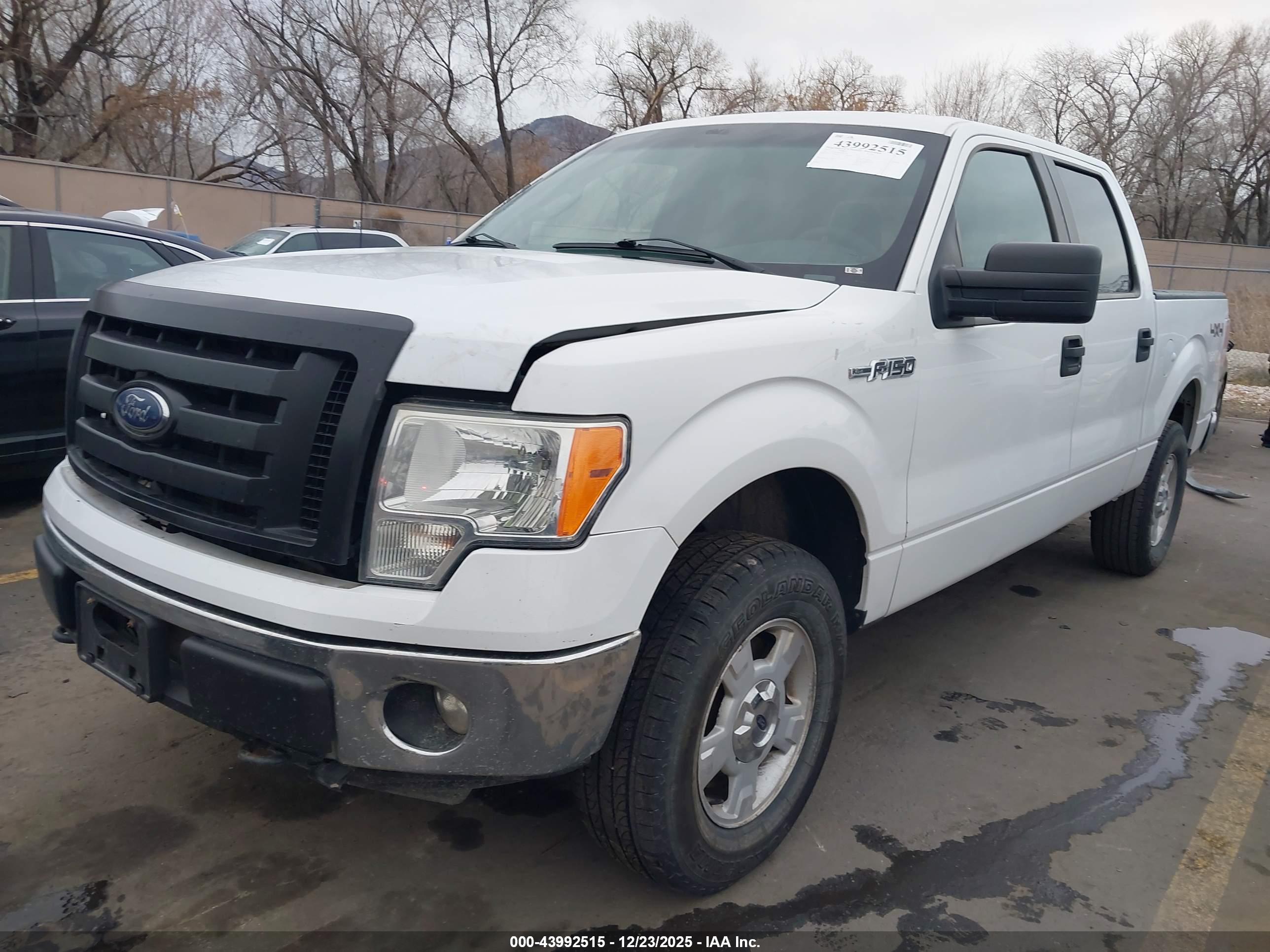 FORD F-150 image 2