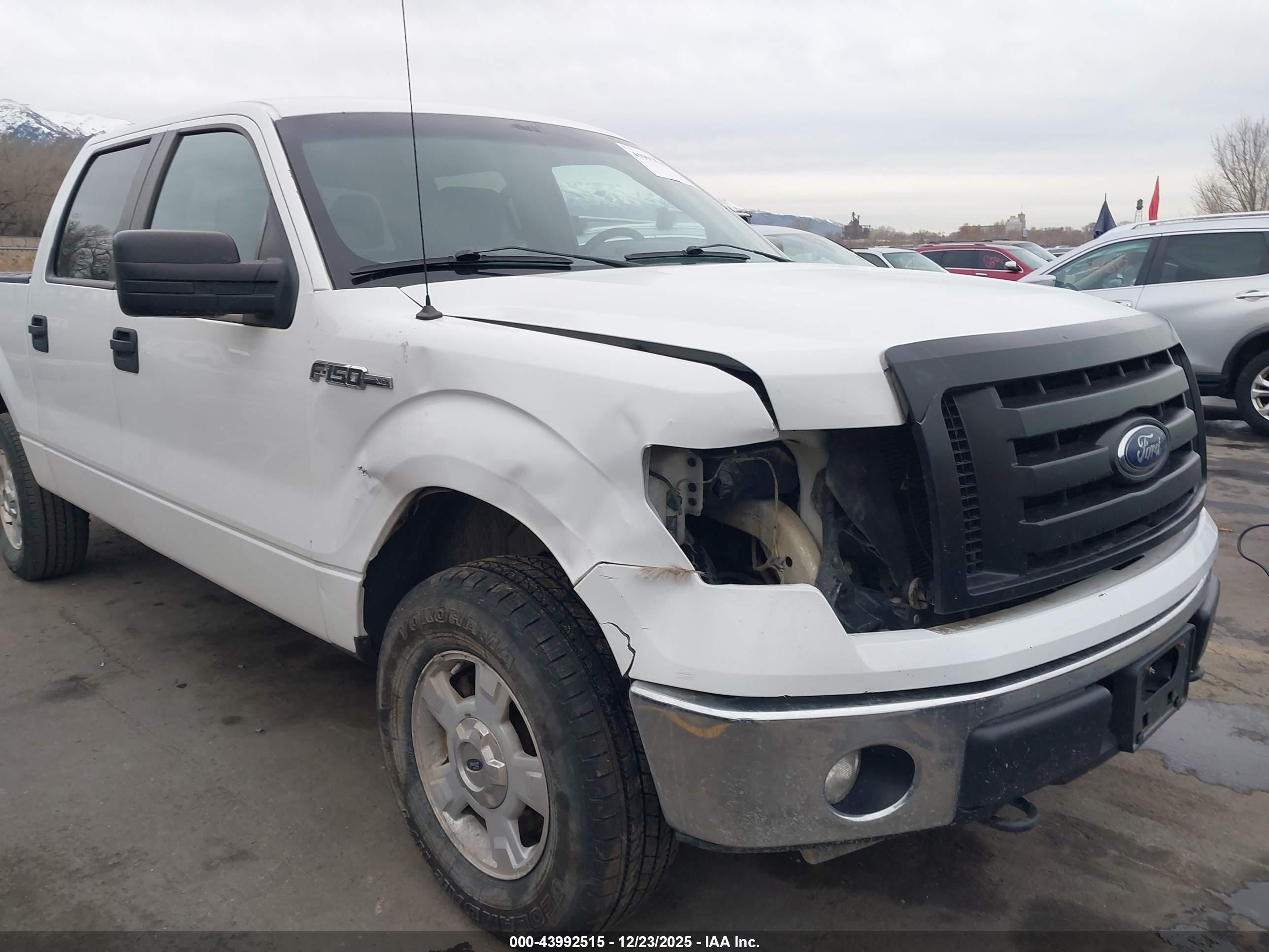 FORD F-150 image 6