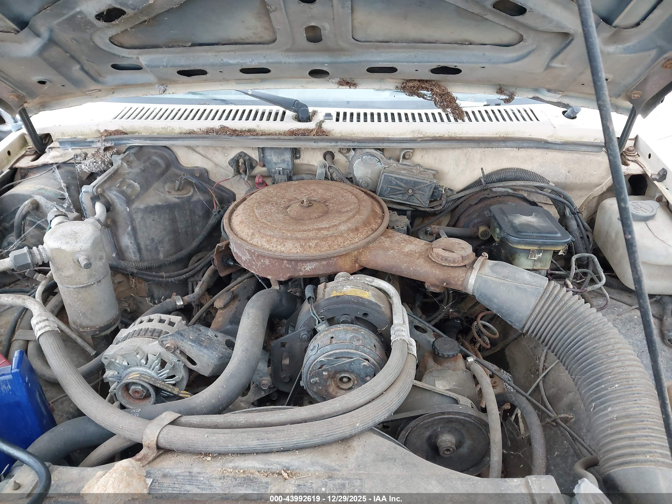 CHEVROLET S image 10