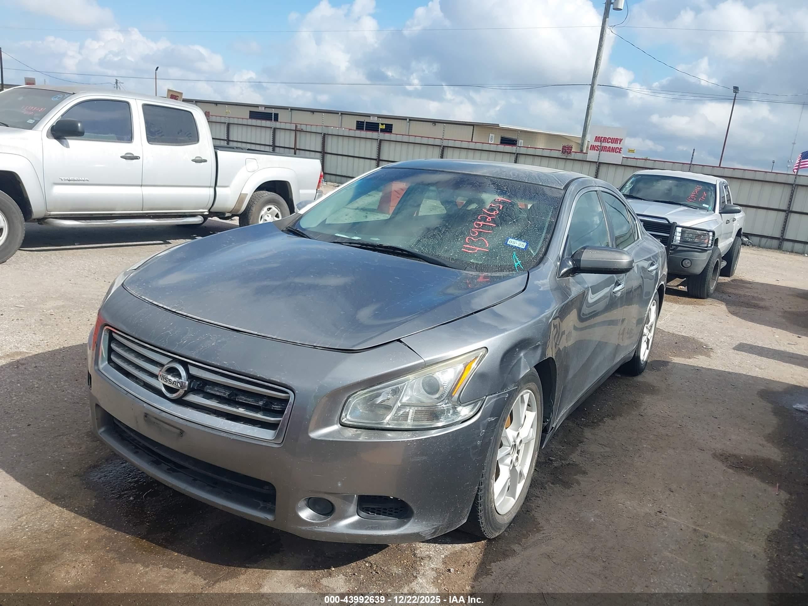 NISSAN MAXIMA image 2