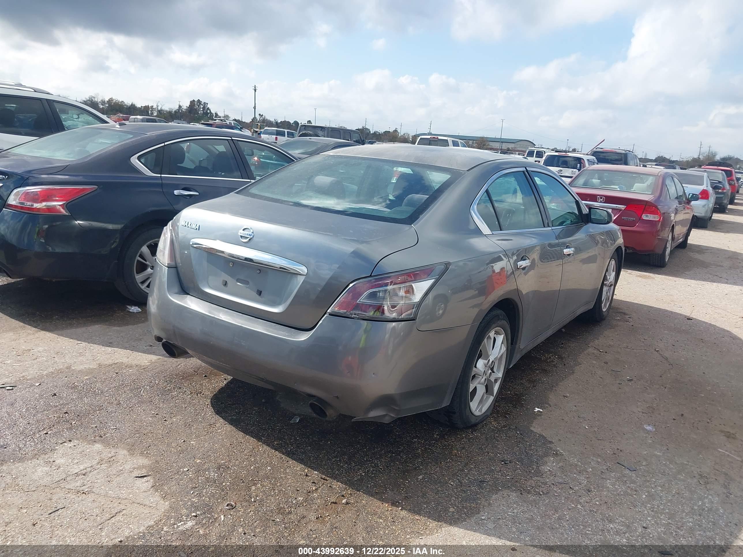 NISSAN MAXIMA image 4