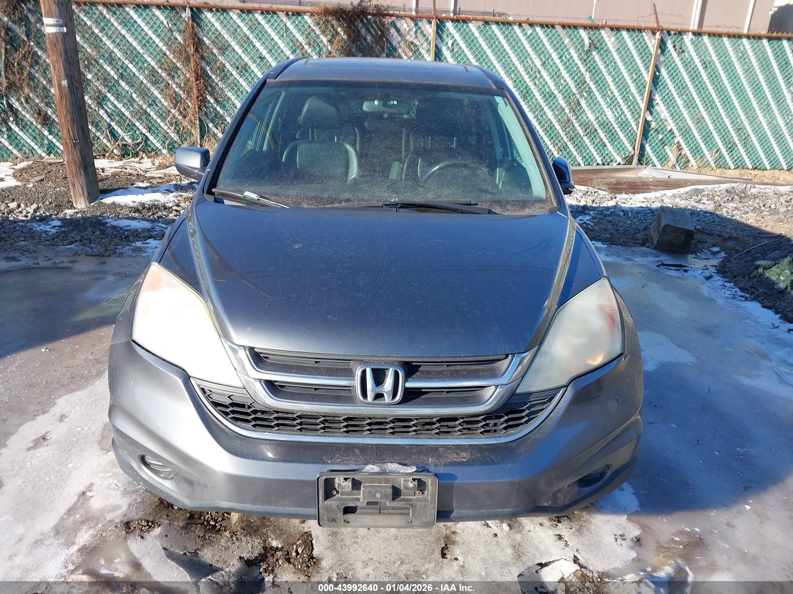 HONDA CR-V image 6