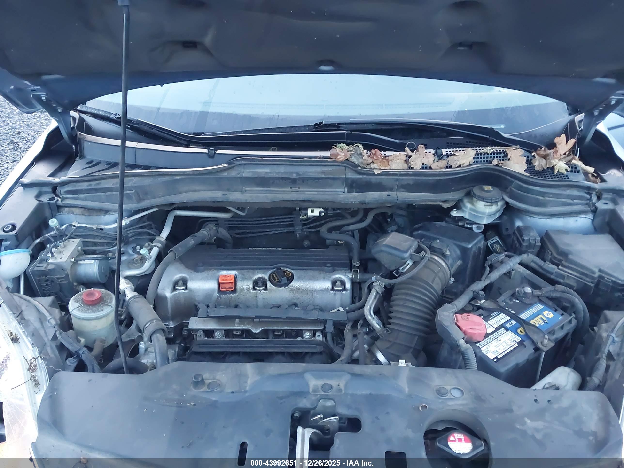 HONDA CR-V image 10