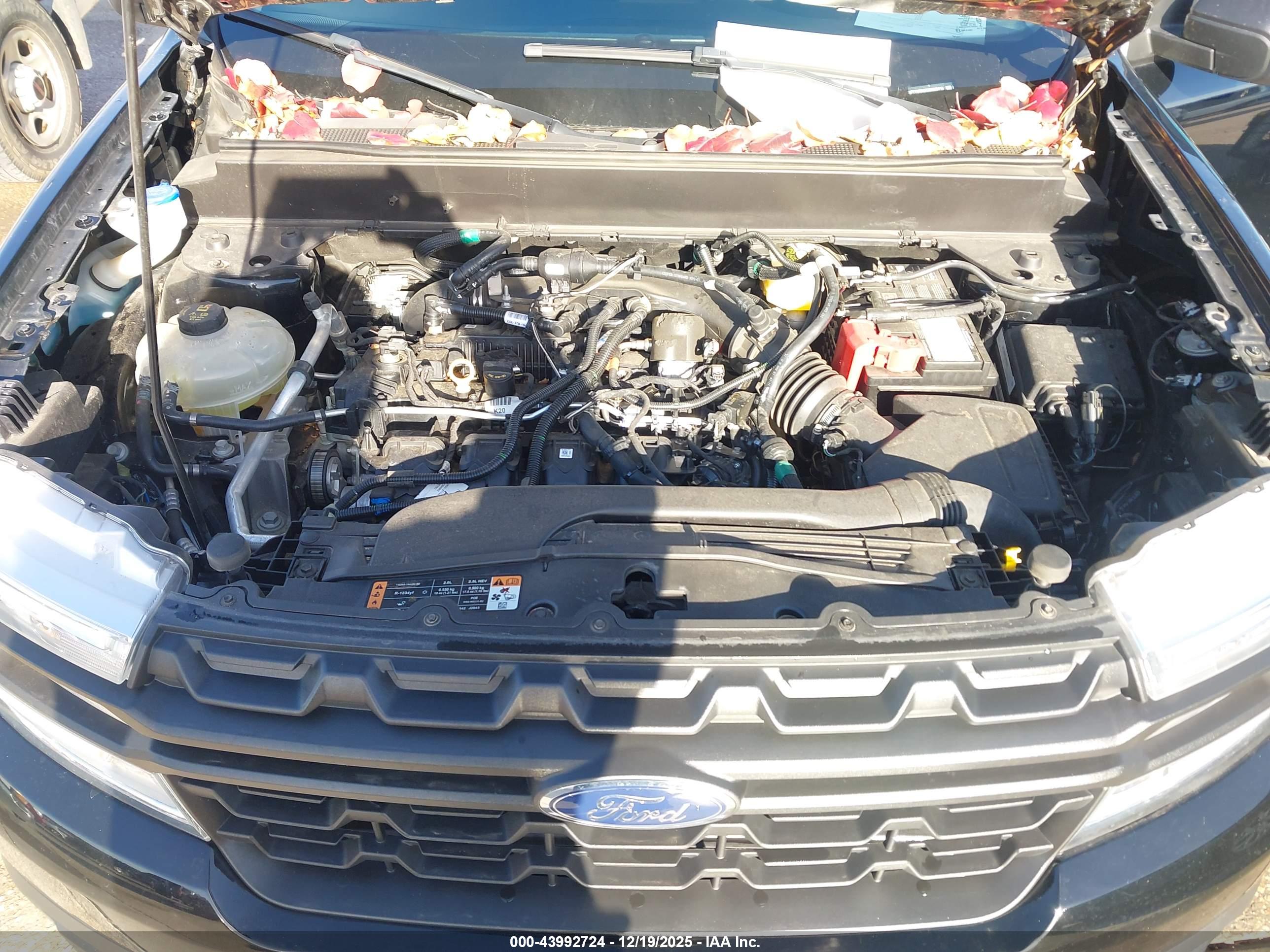 FORD MAVERICK image 10