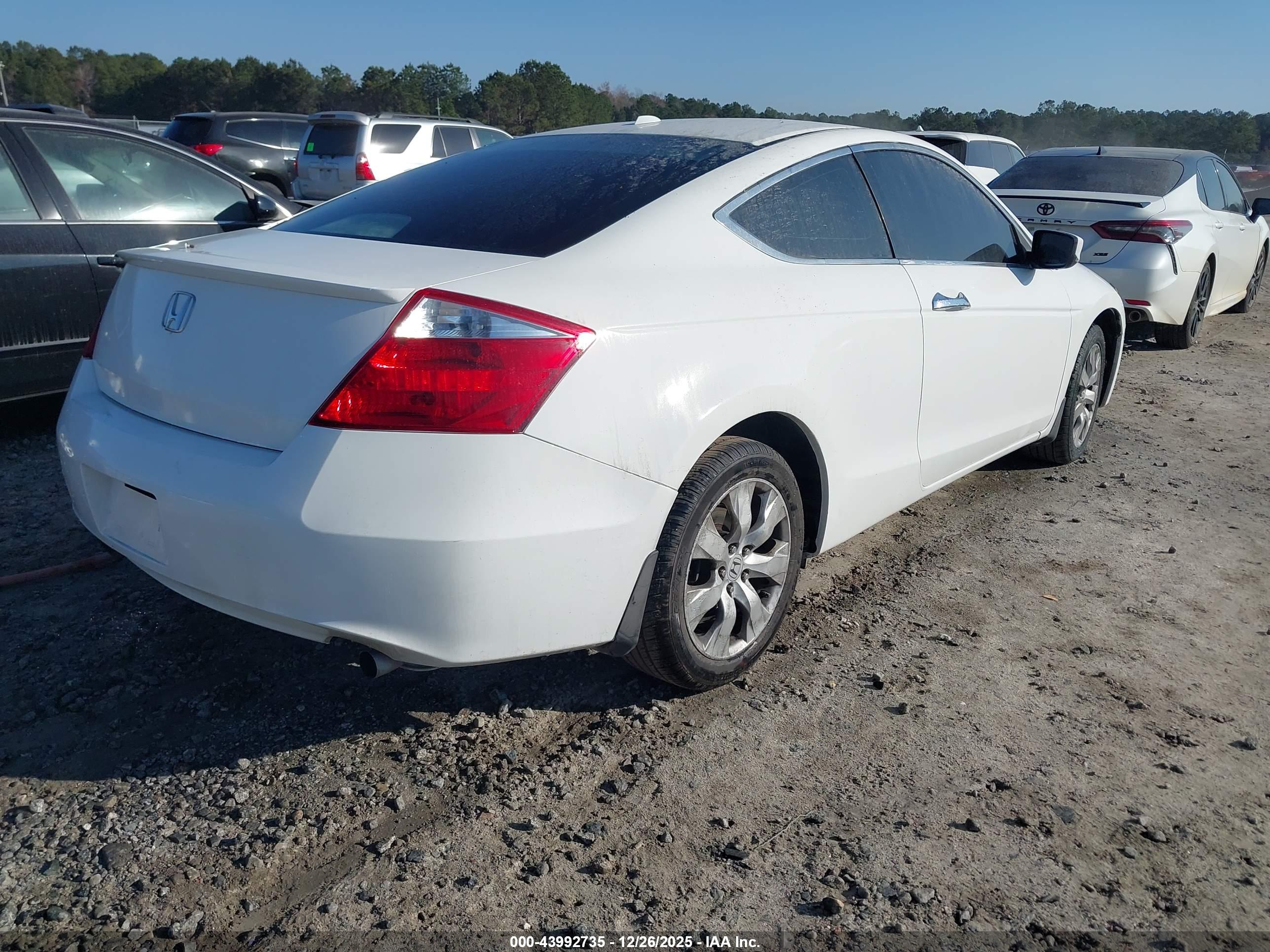 HONDA ACCORD image 4