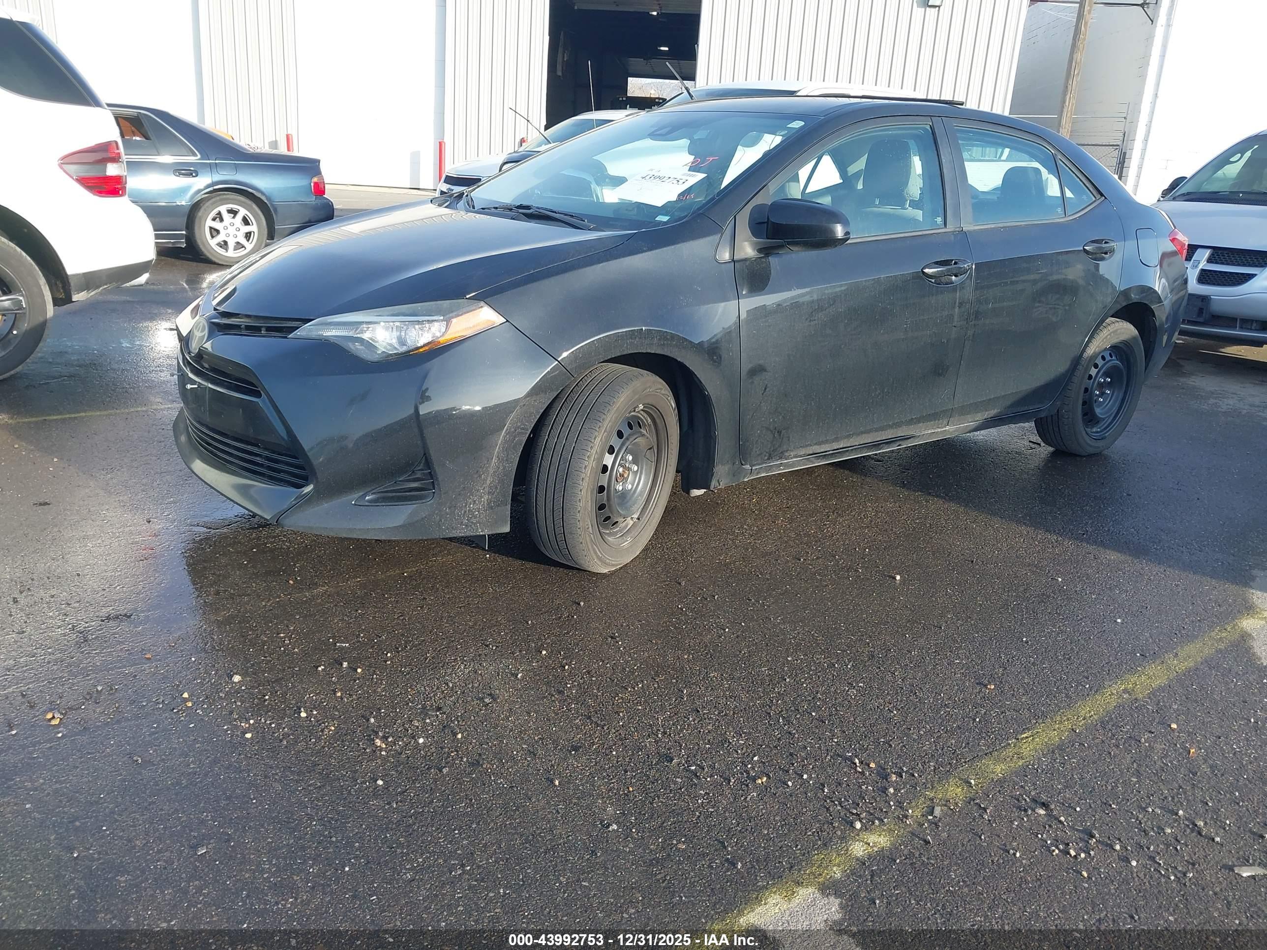 TOYOTA COROLLA image 2