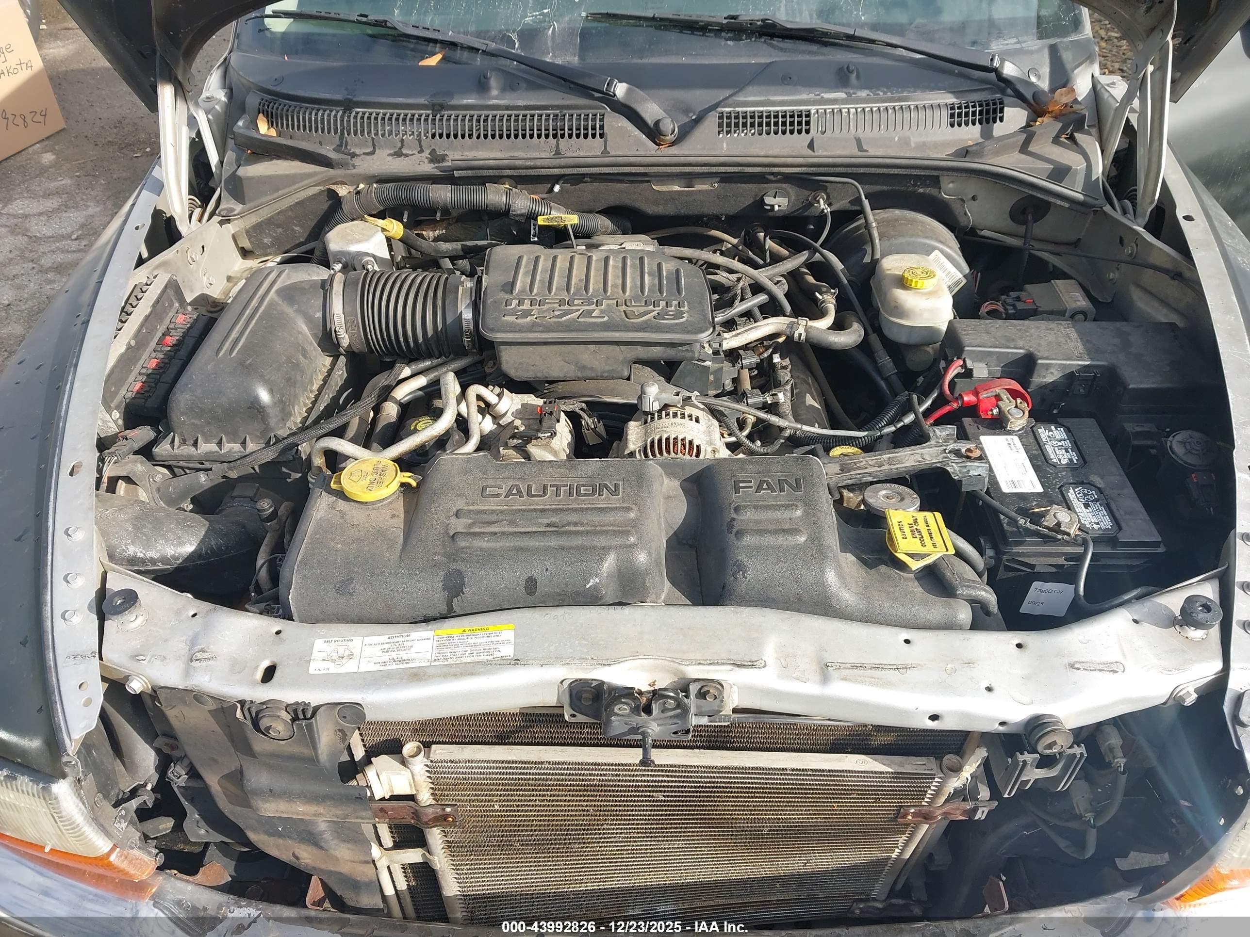 DODGE DAKOTA image 10