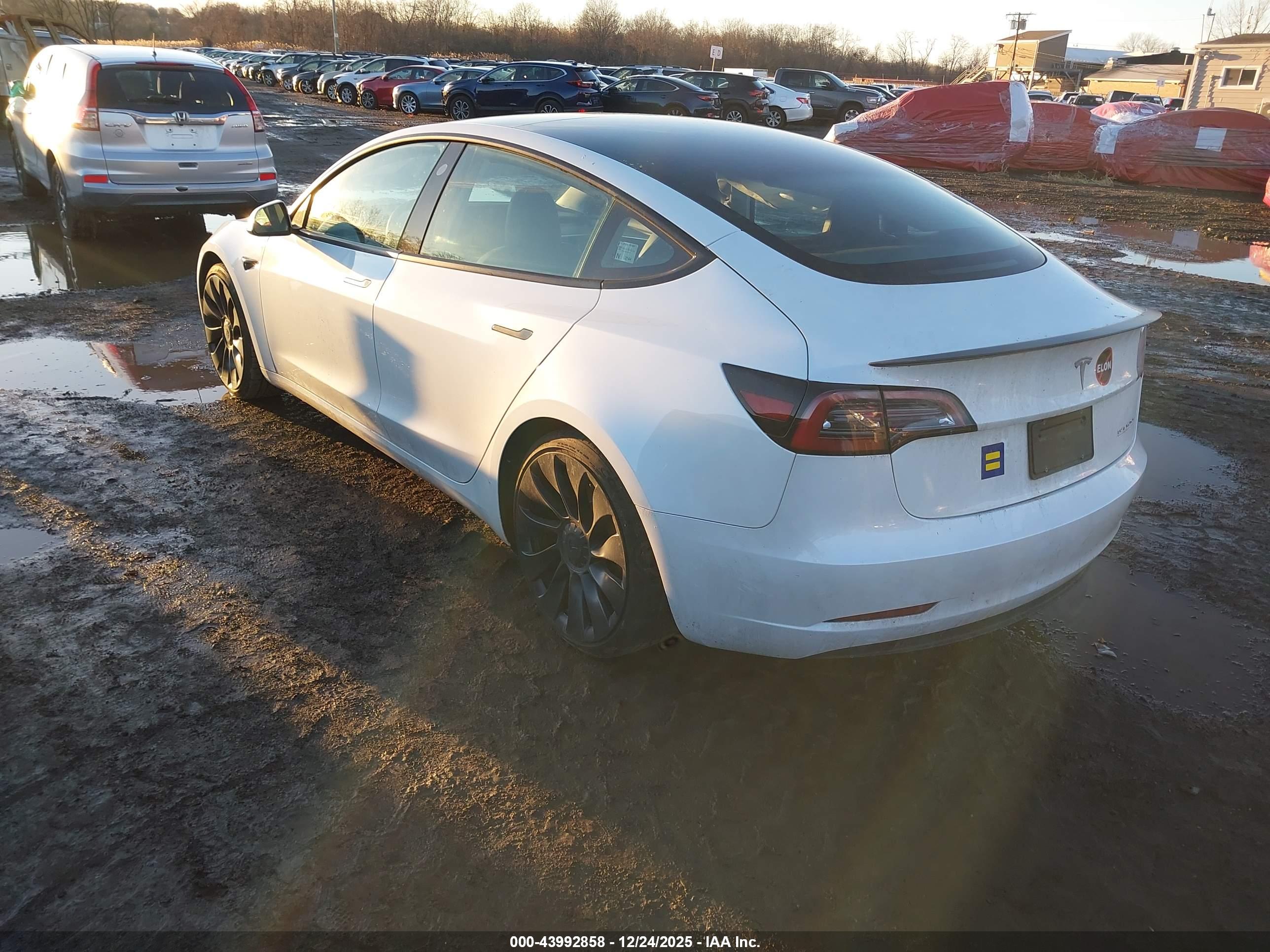 TESLA MODEL image 3