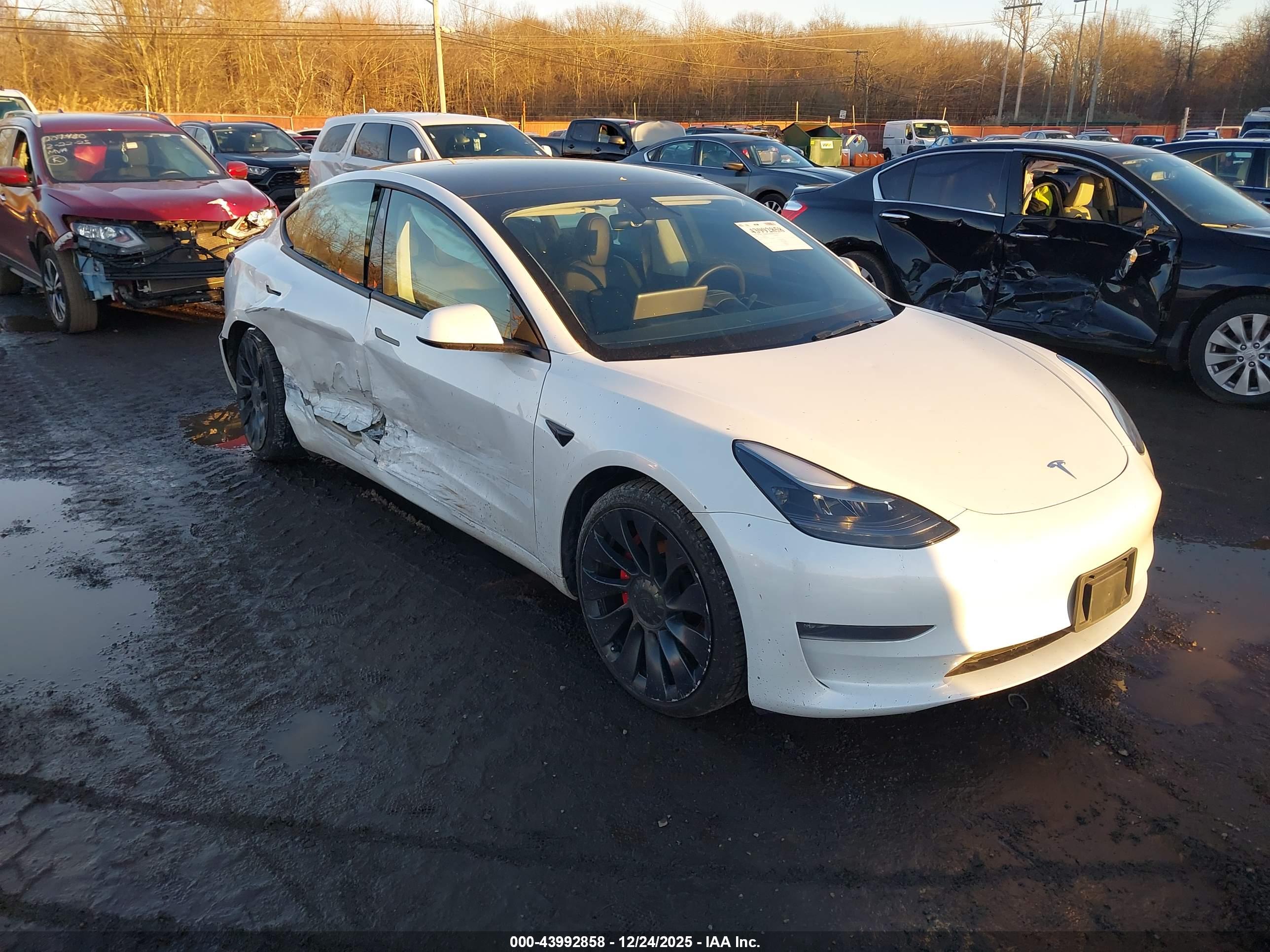 TESLA MODEL image 6
