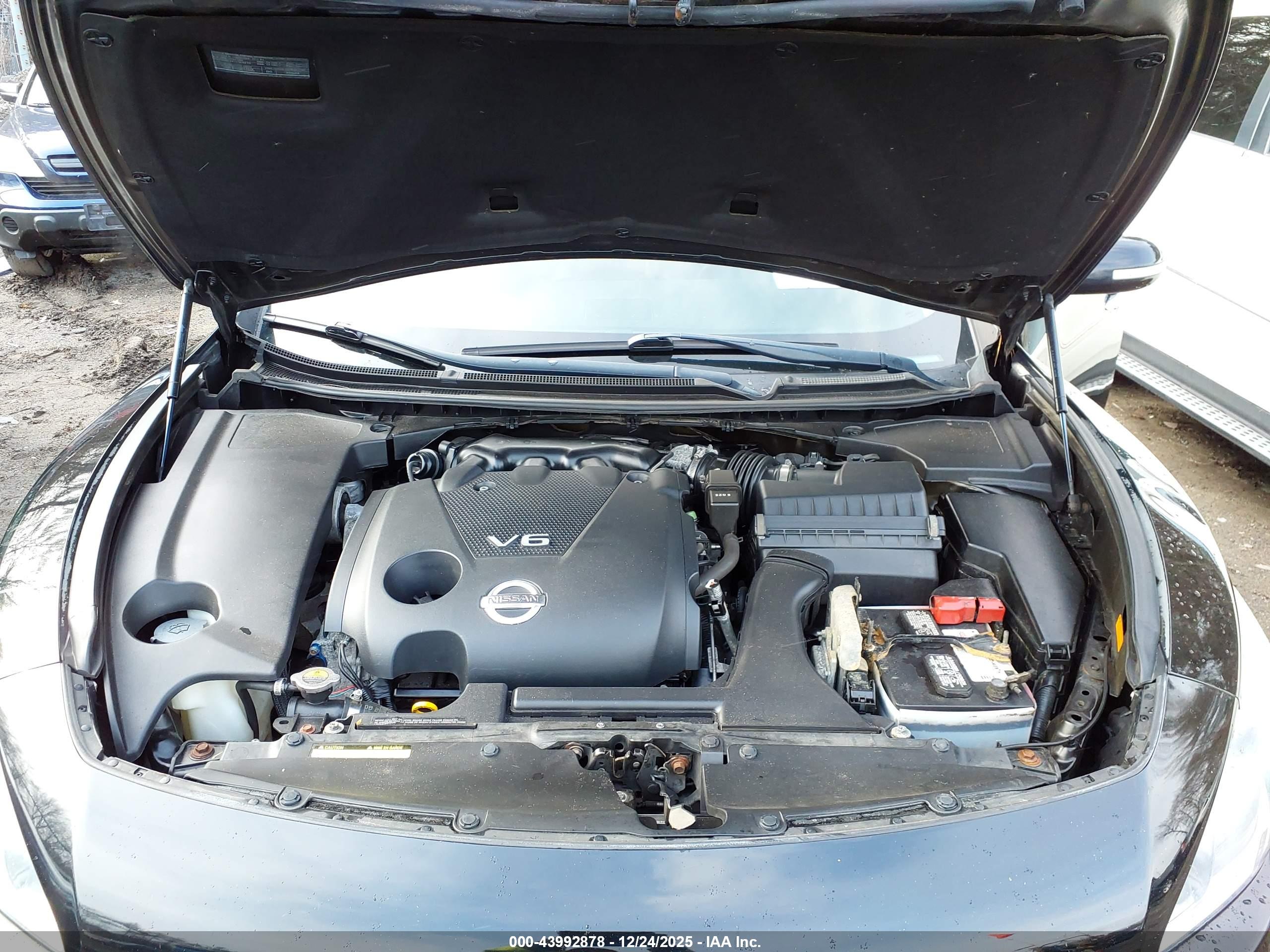 NISSAN MAXIMA image 10