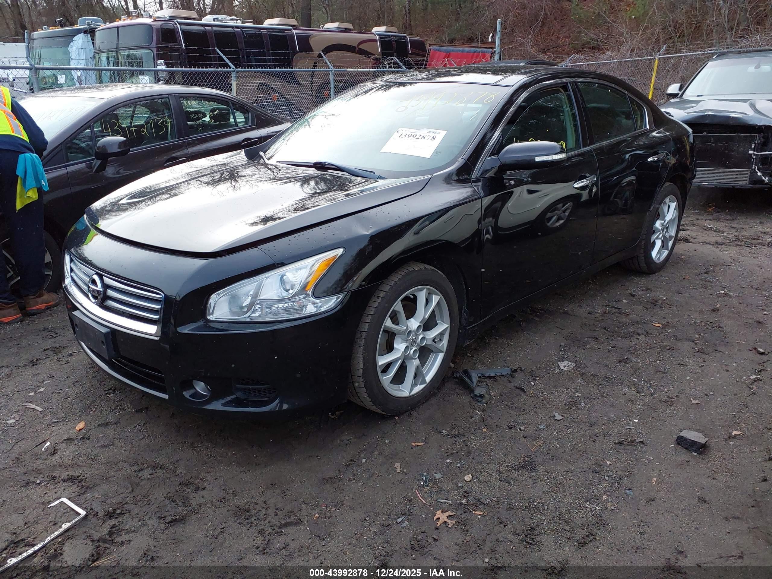 NISSAN MAXIMA image 2