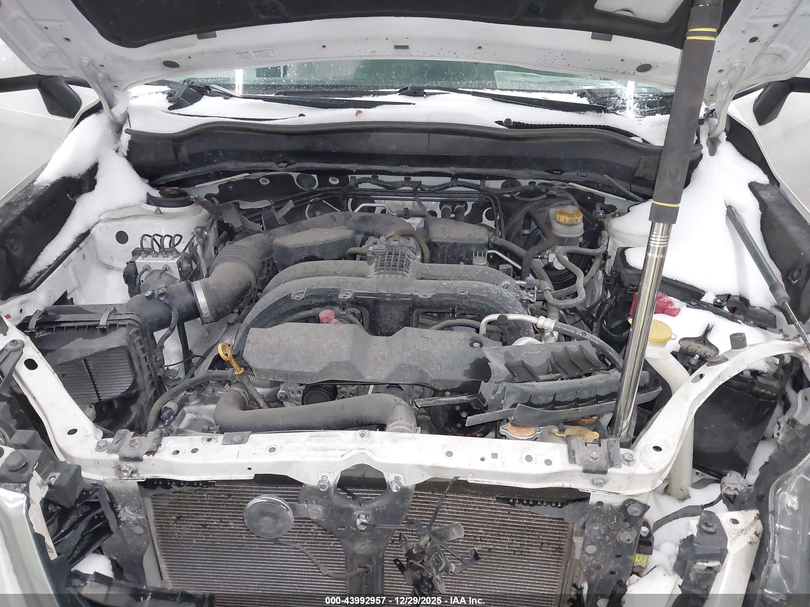 SUBARU FORESTER image 10