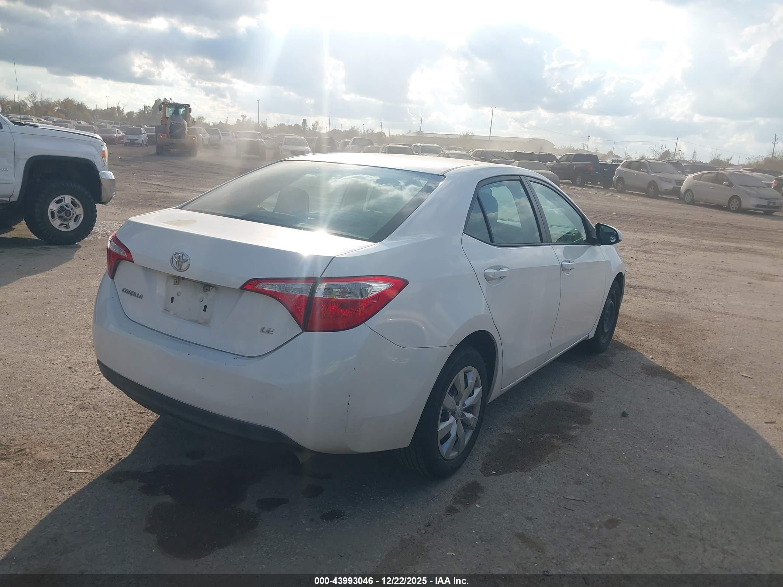 TOYOTA COROLLA image 4
