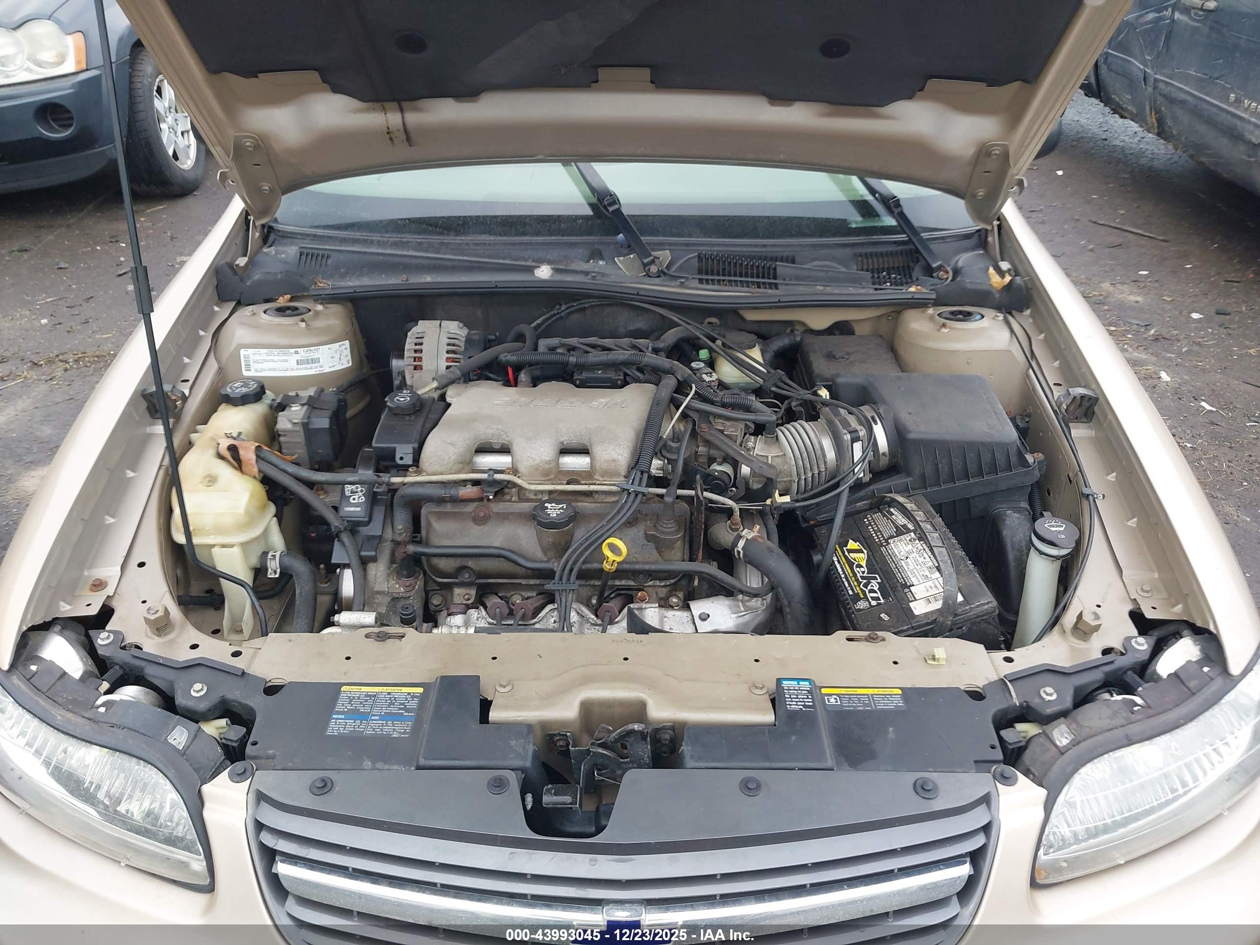 CHEVROLET MALIBU image 10