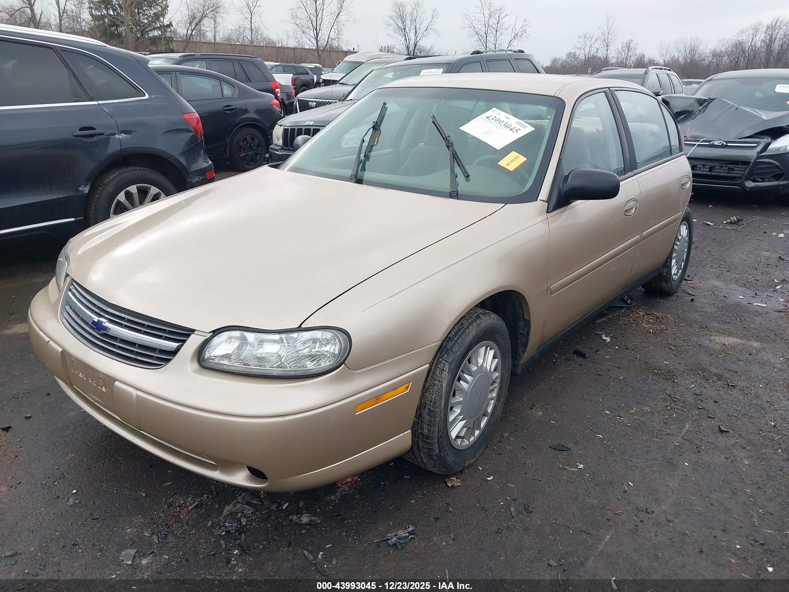 CHEVROLET MALIBU image 2