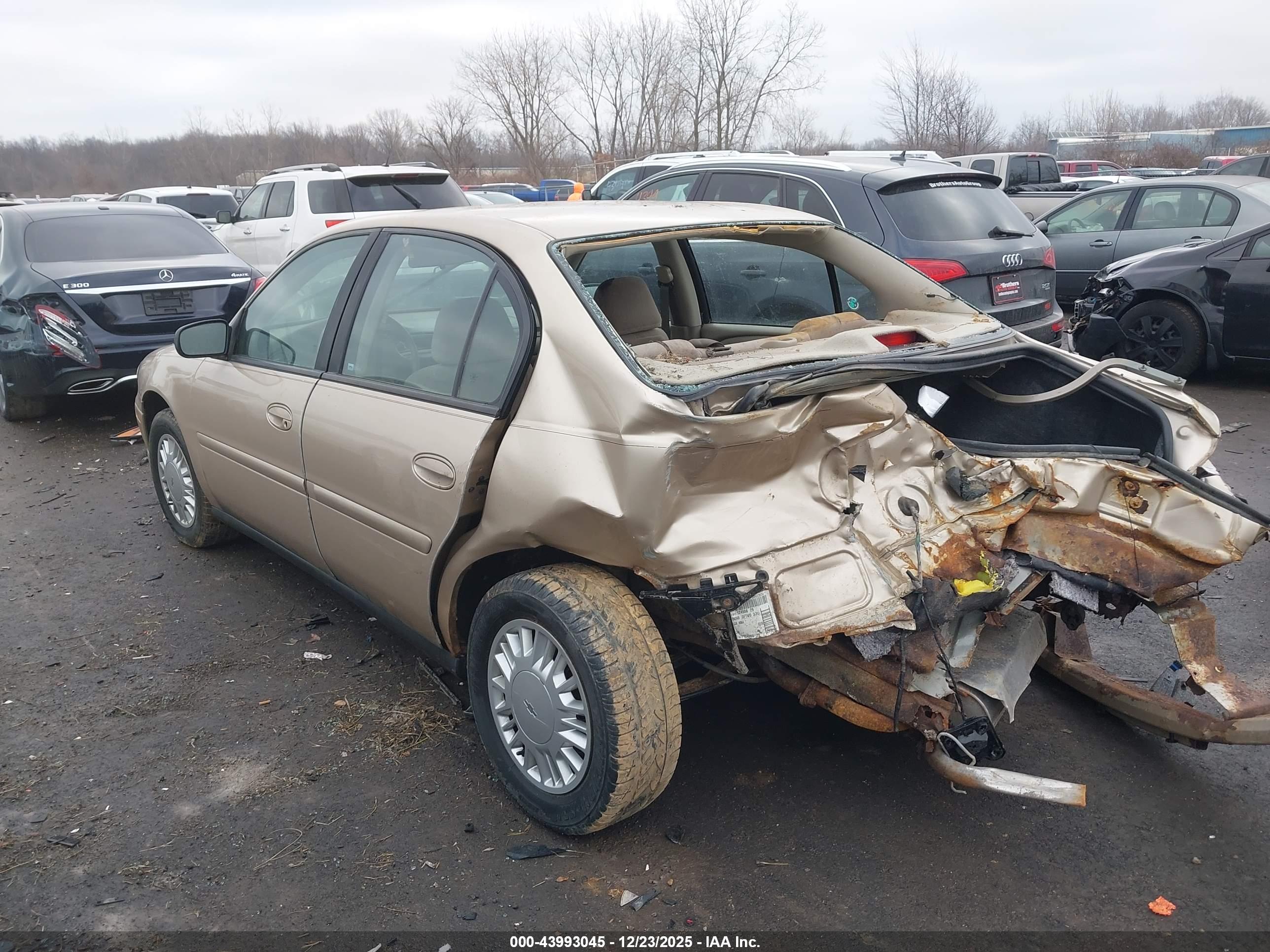 CHEVROLET MALIBU image 3