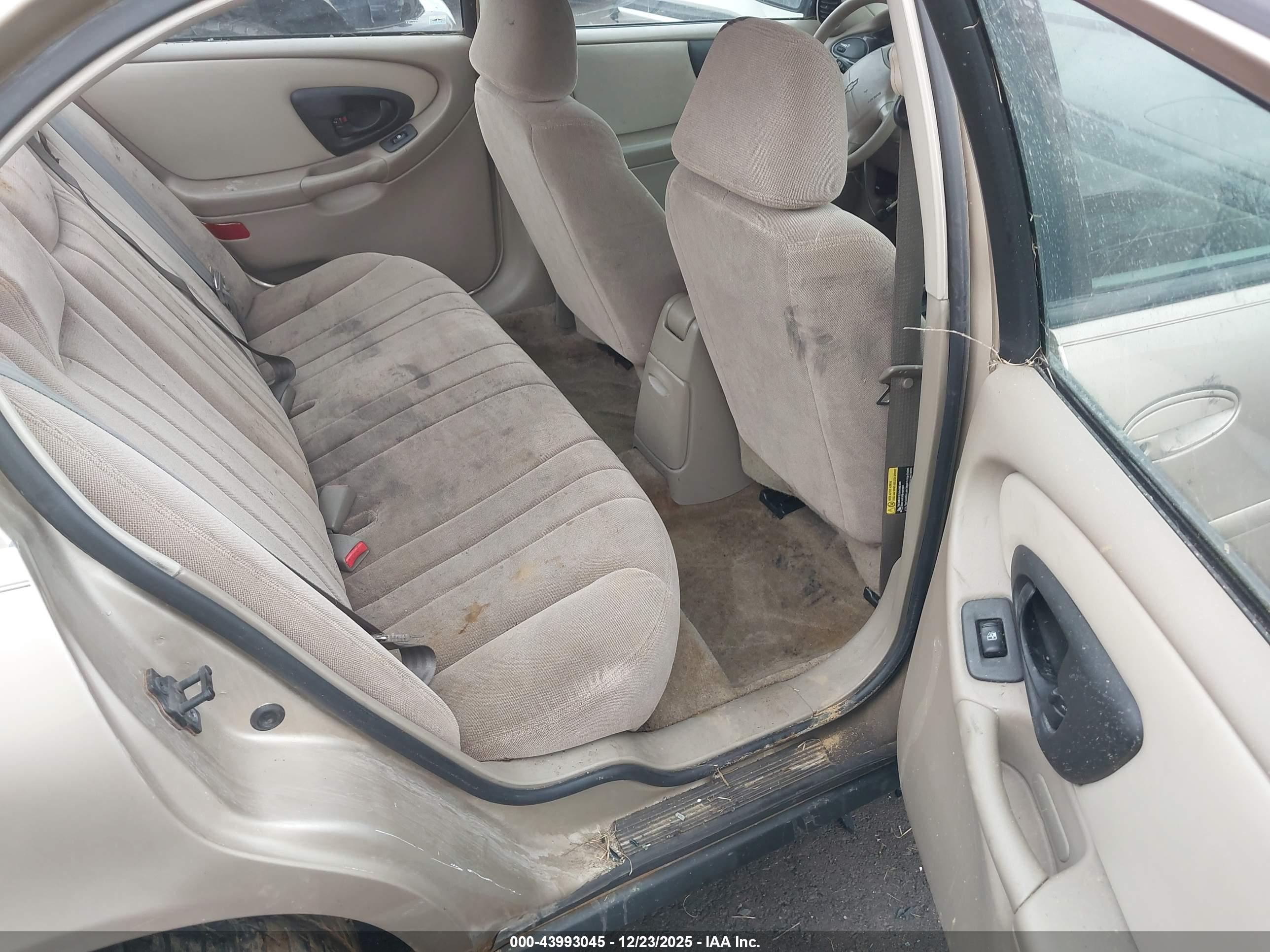 CHEVROLET MALIBU image 8