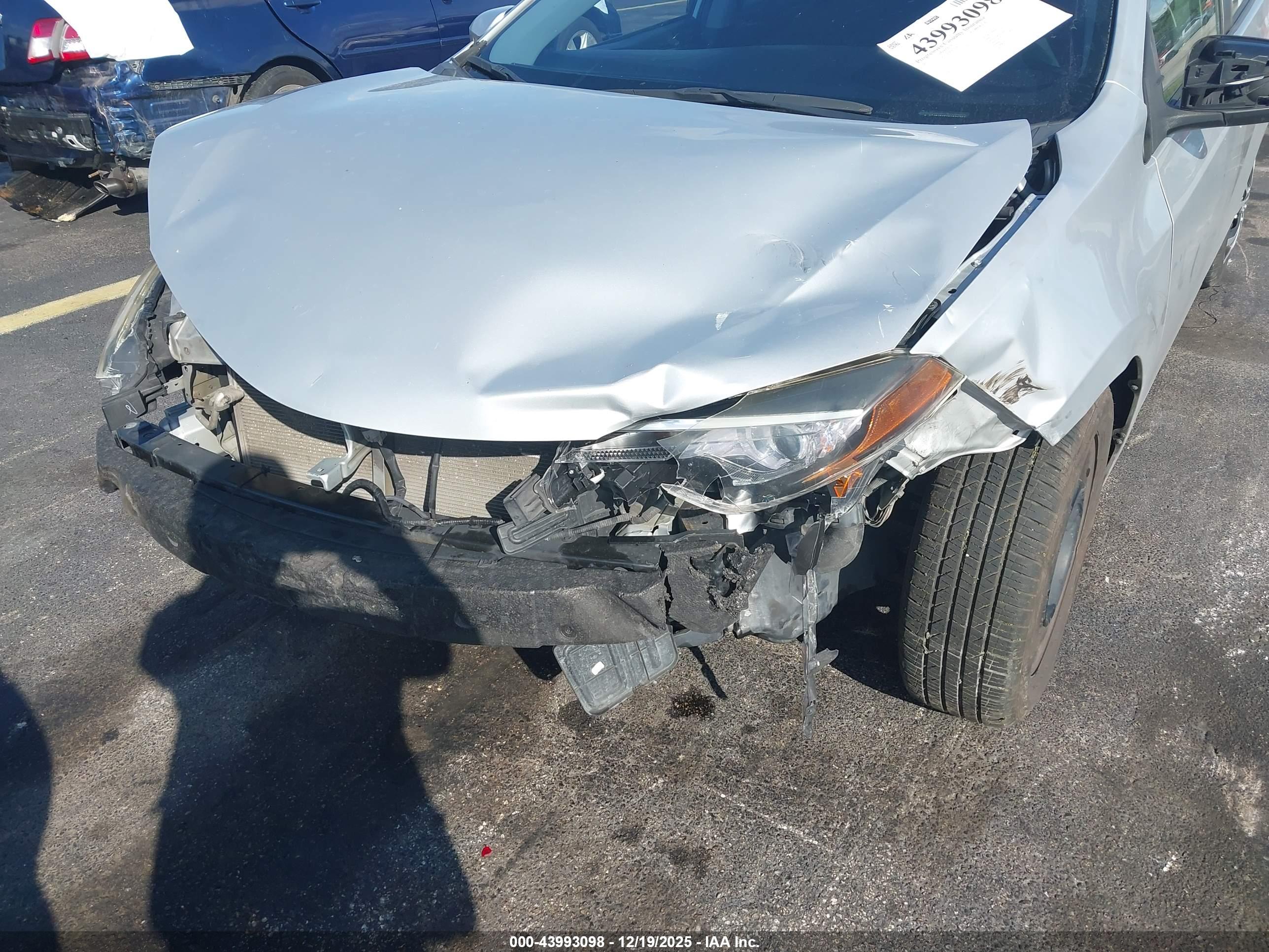 TOYOTA COROLLA image 6